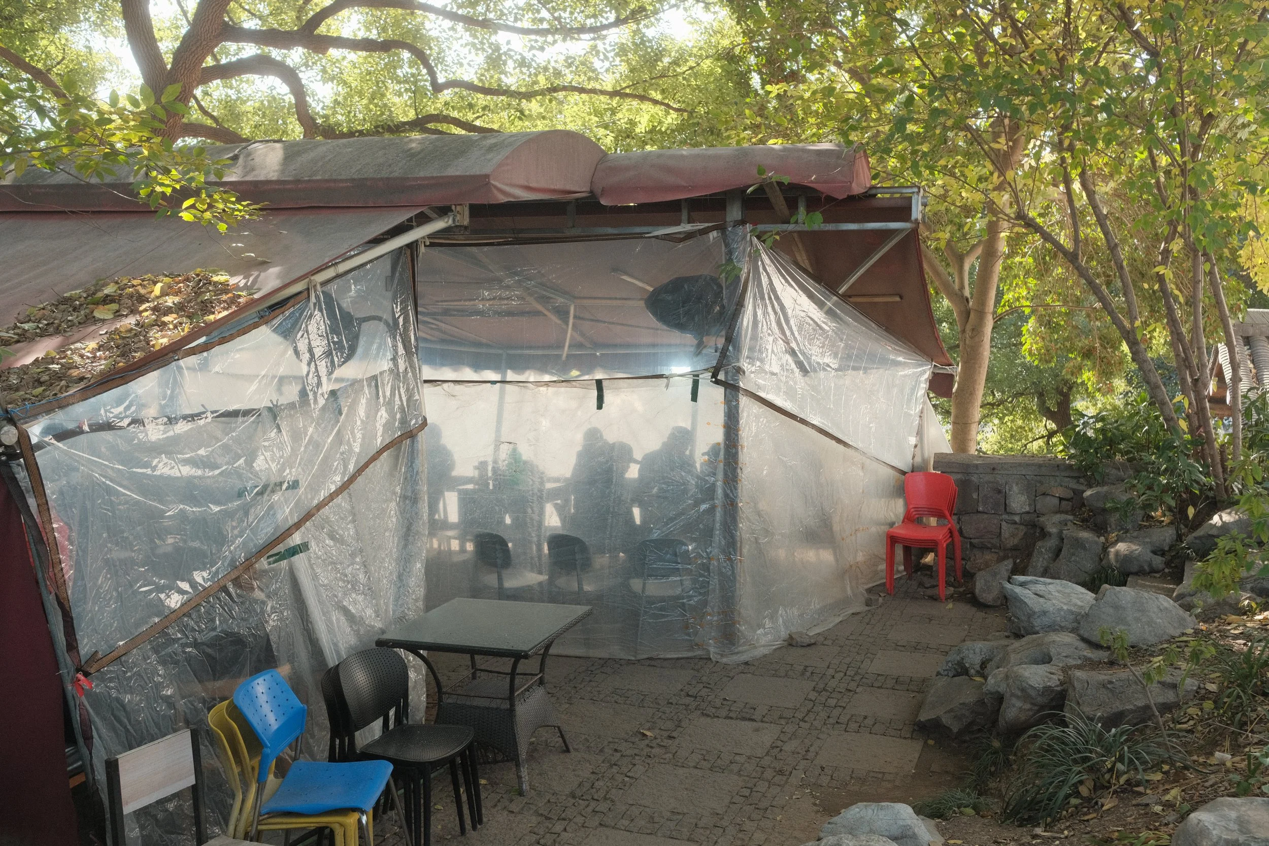 DSCF2614.JPG