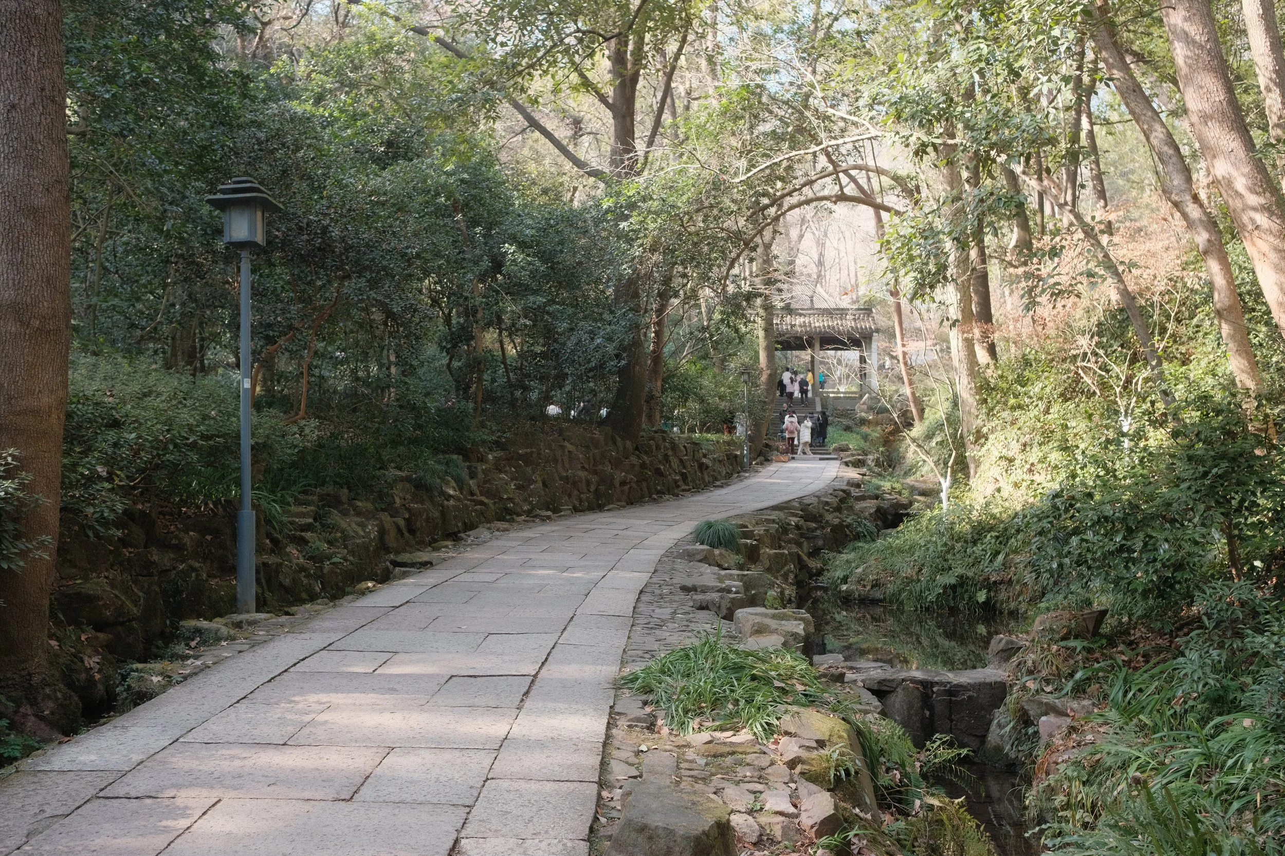 DSCF2759.JPG