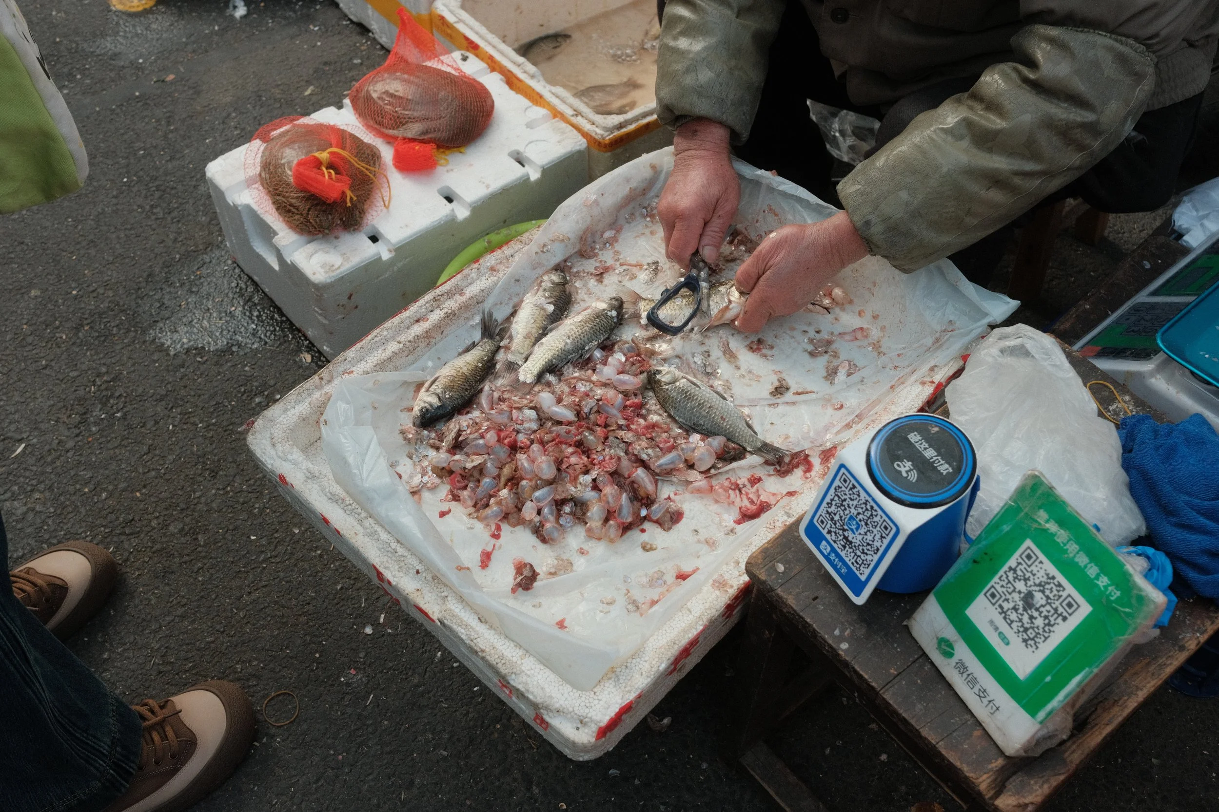 DSCF2693.JPG