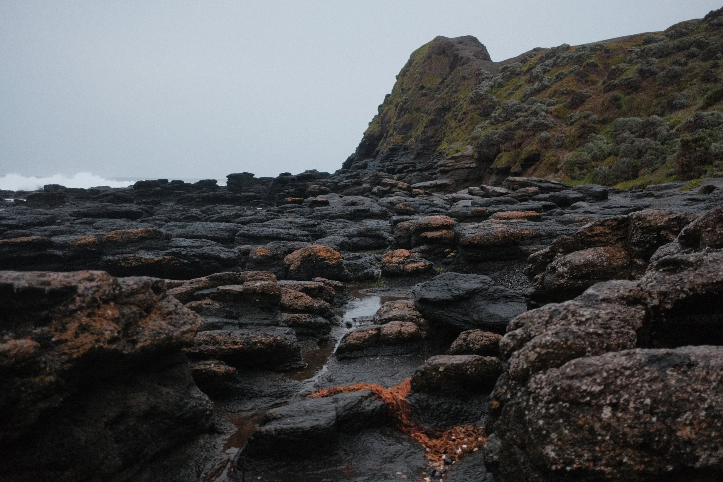 DSCF5979.JPG
