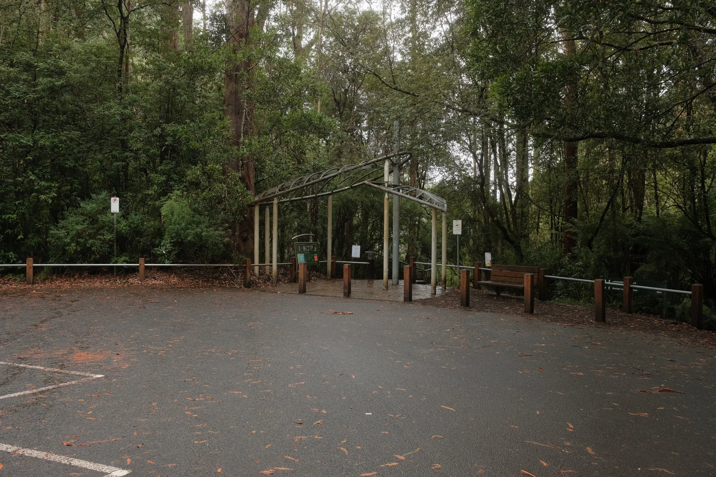 DSCF4577.JPG