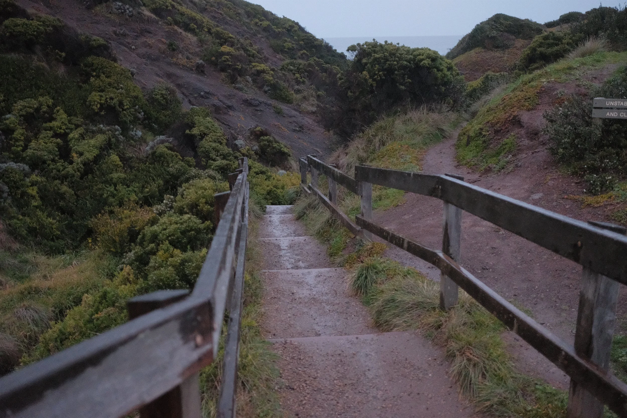 DSCF5937.JPG