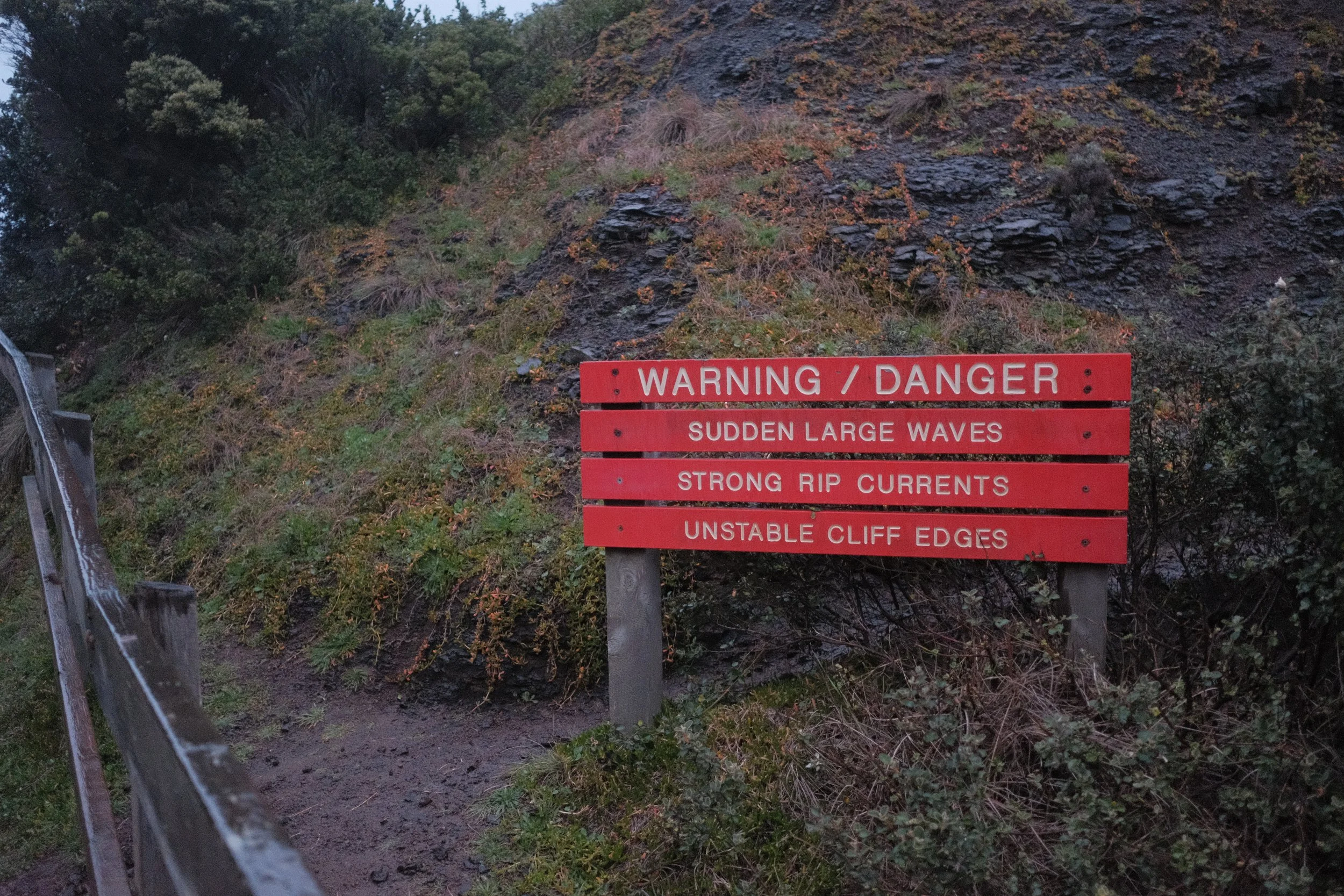 DSCF5938.JPG
