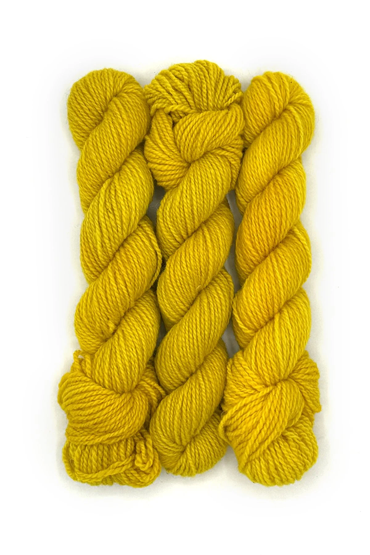 Penn-CAFYellow copy.jpg