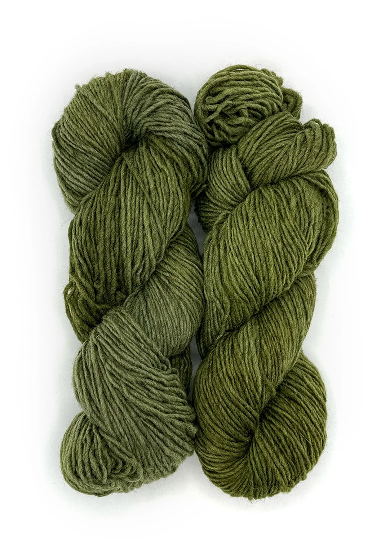 Maryland Montadale—Olive