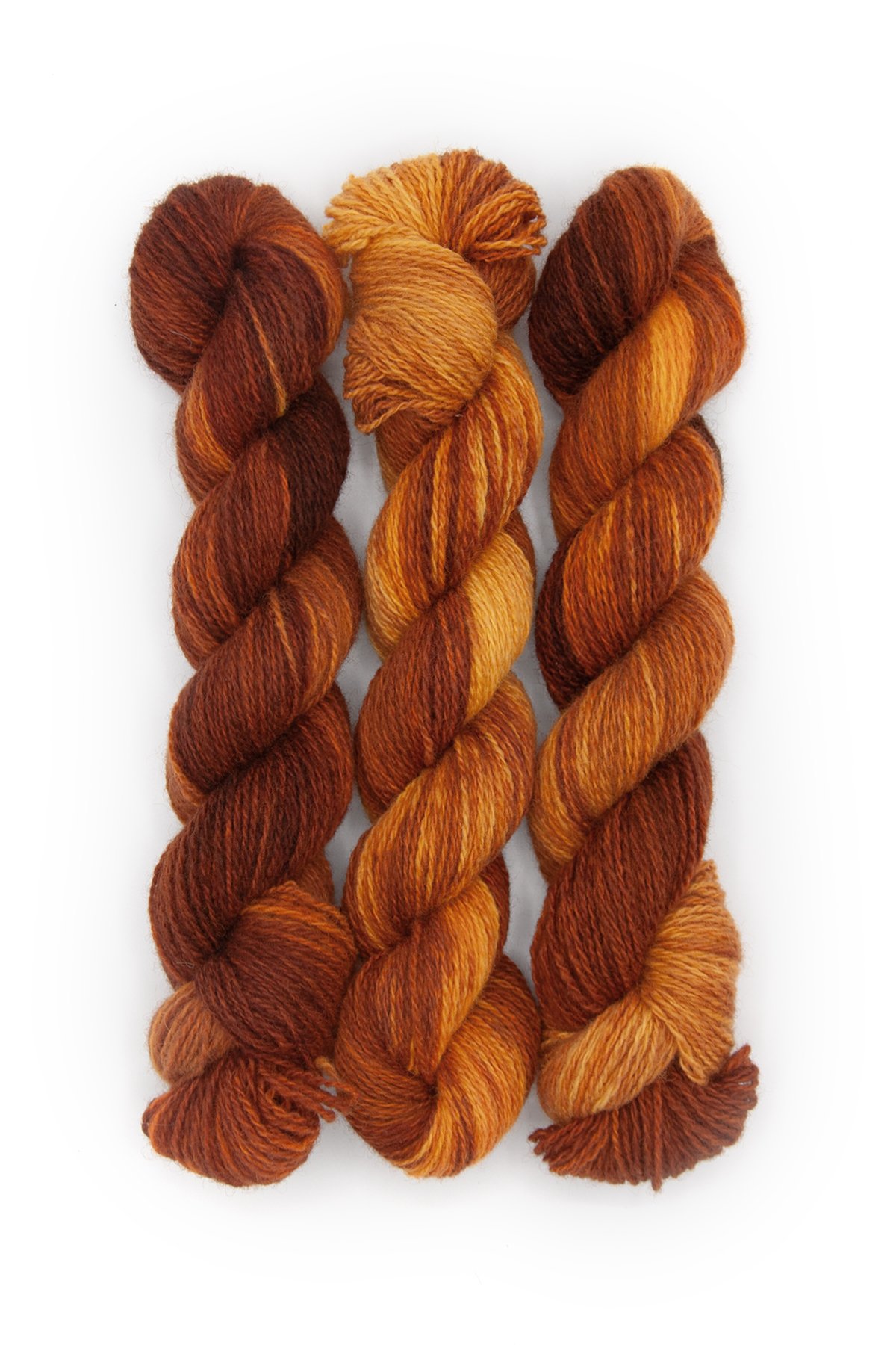 Primaries-Orange-3 copy.jpg