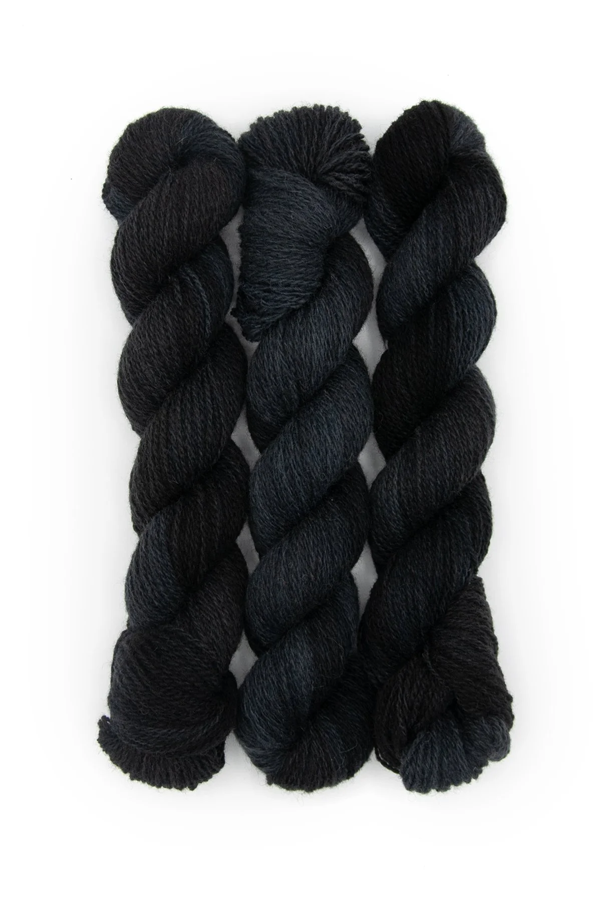 Primaries-Black-3 copy.jpg