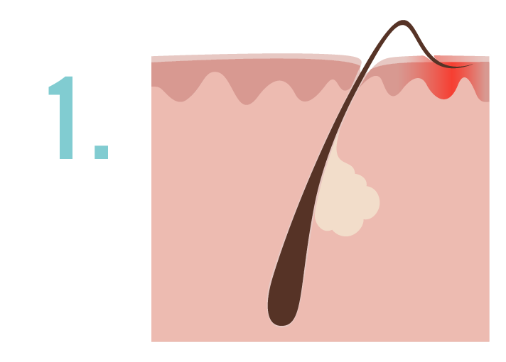 Artboard 31@3x.png