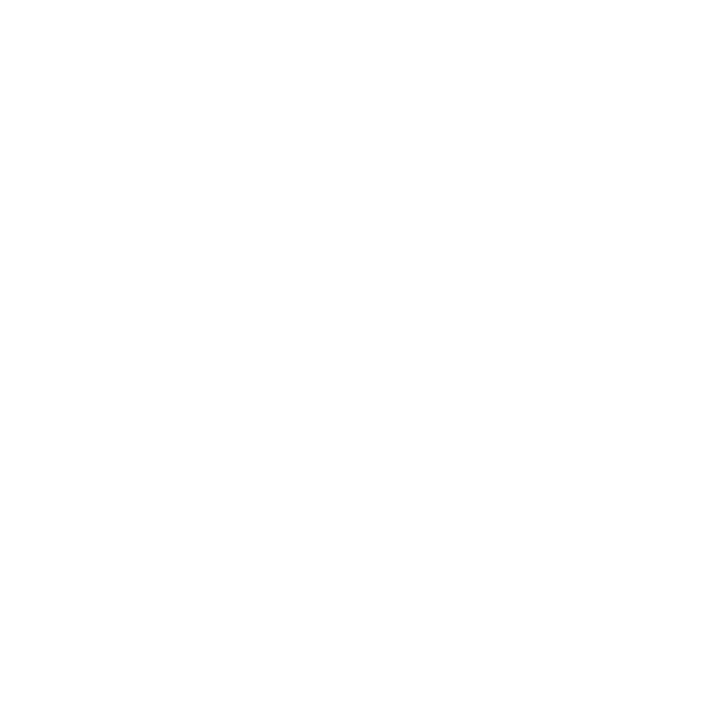 Standing Stone Village---_logo-white.png