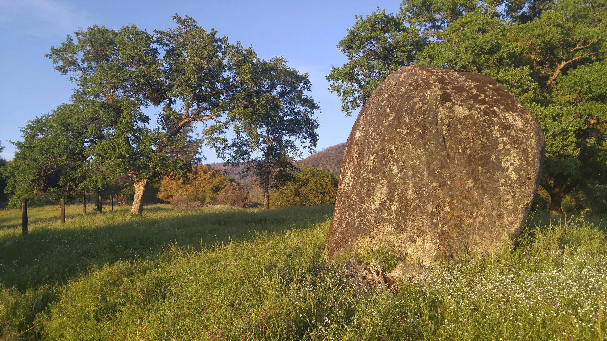 StandingStone_0424181915.jpg