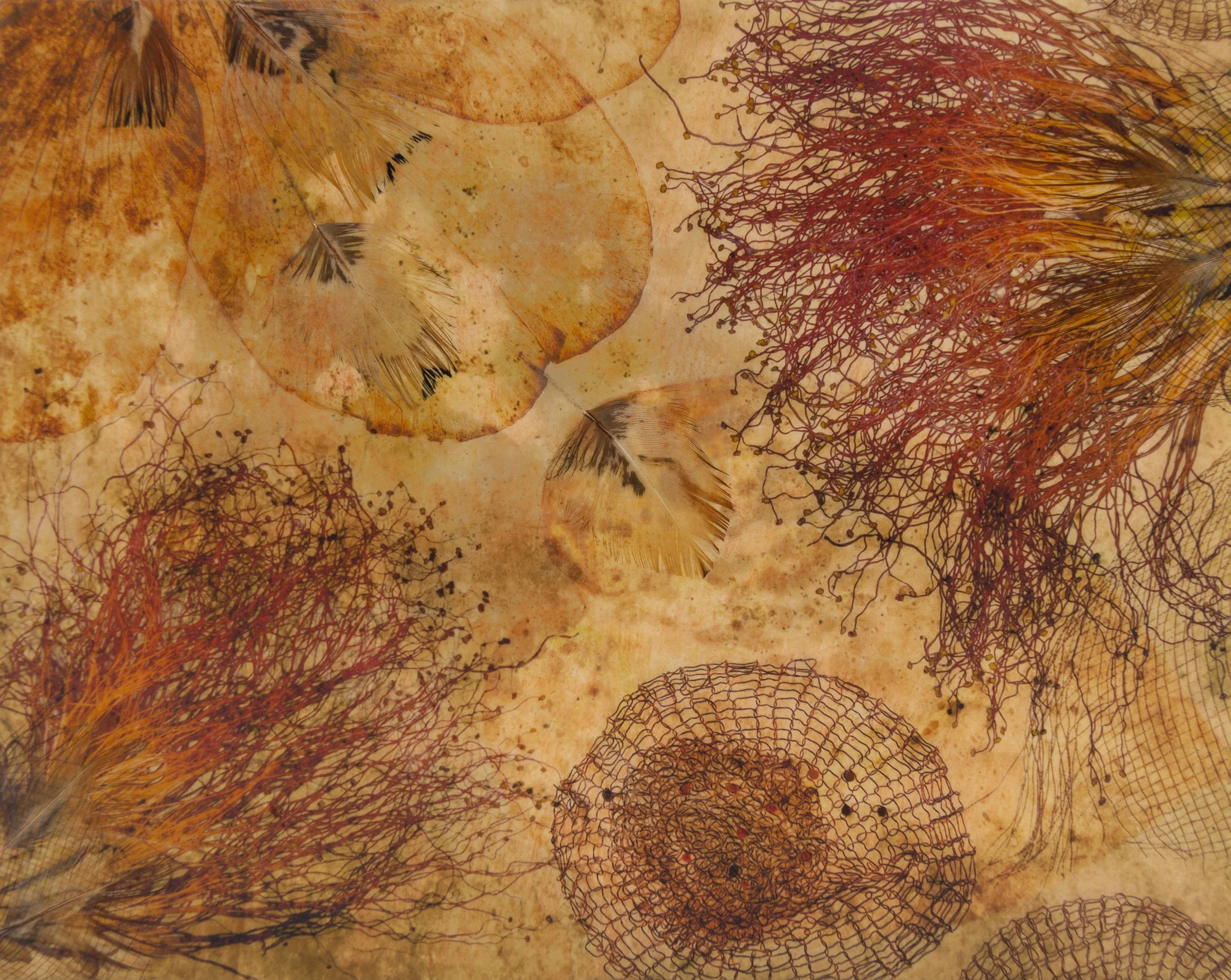Seeded Feather.jpg