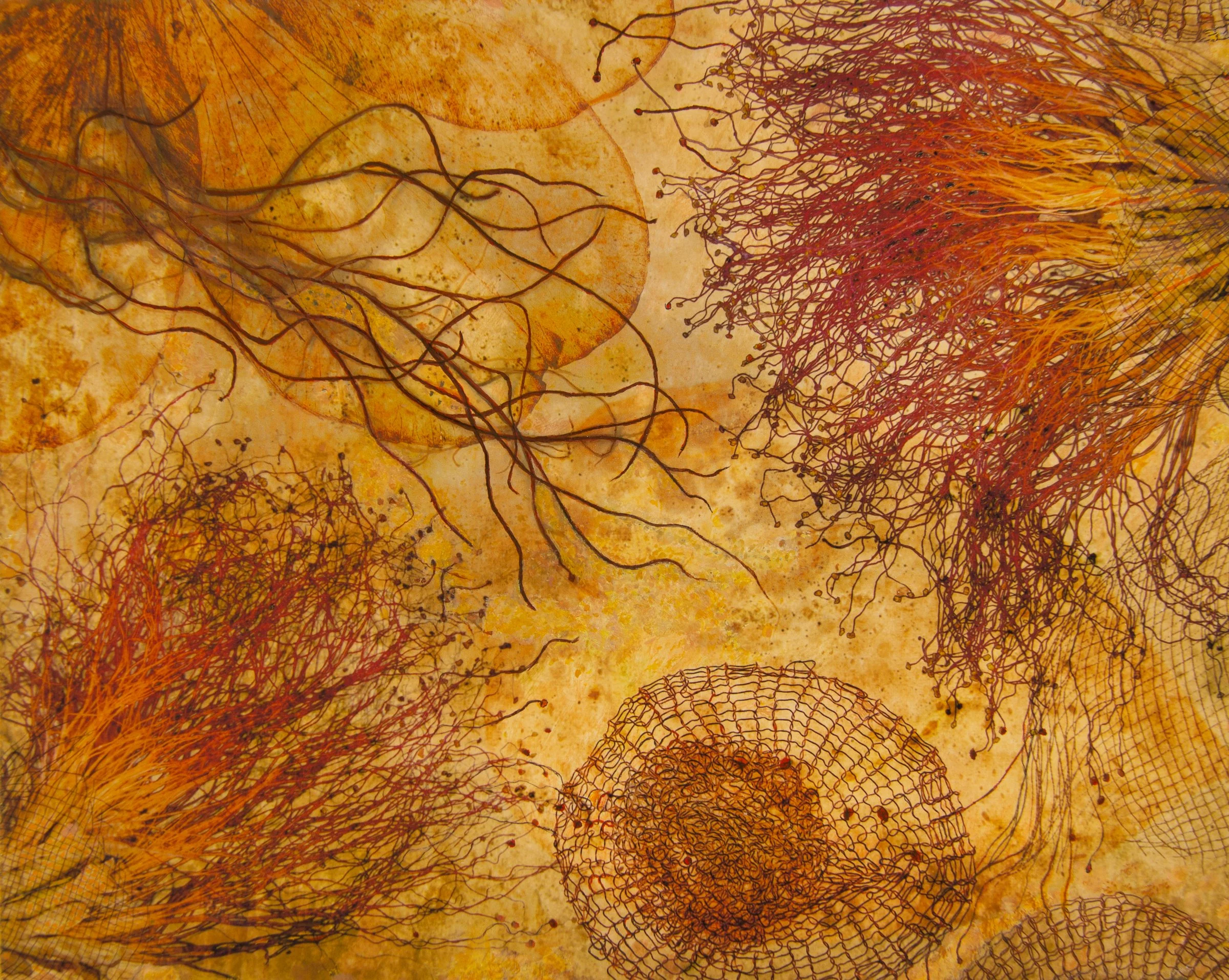 Root Seeds.jpg
