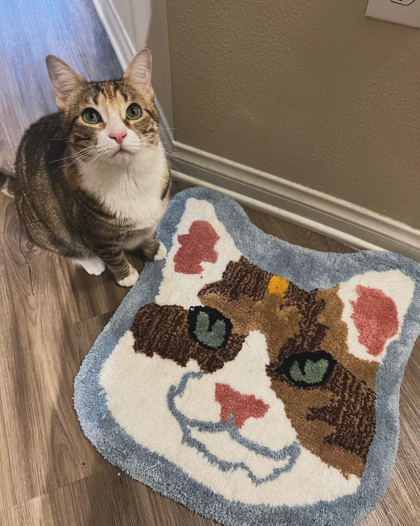 It is our greatest pleasure to introduce you to the @tufthousela !!!! Sam surprised me with a rug making class and knew that I would LOVE nothing more than to have rugs of our girls&rsquo; faces 😻. Those of you who own cats know that they LOVE to si