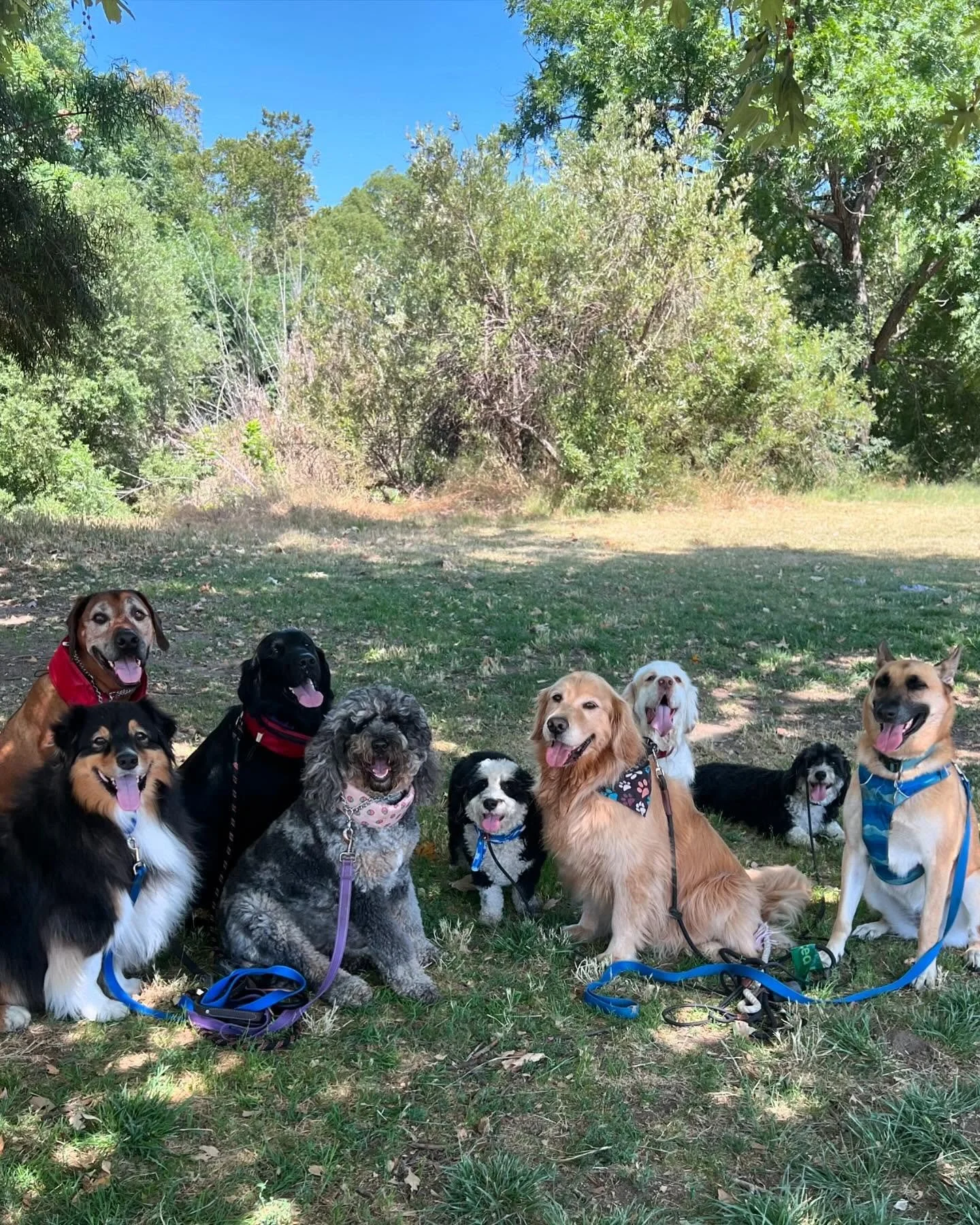 &ldquo;June Gloom&rdquo;, Who? #barksandrecla