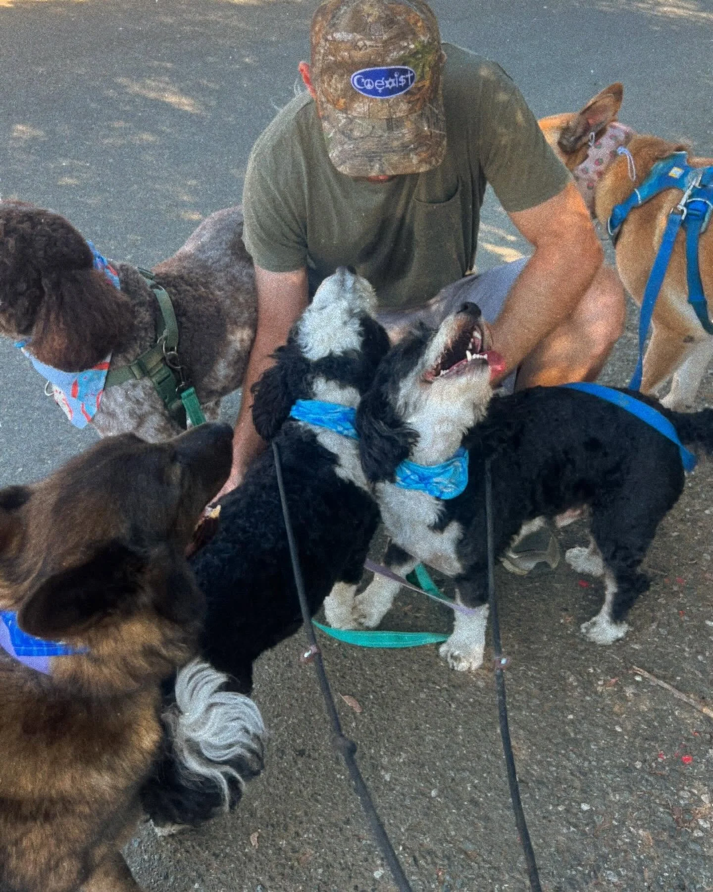 We love Mondays at Barks &amp; Rec!!! Why, you ask? Because our pups are the happiest to see us after a weekend hiatus!! These smiles, puppy hugs, and kisses say it all. Featured above are our amazing walkers Sam, Sofia and Rita, spreading the love o
