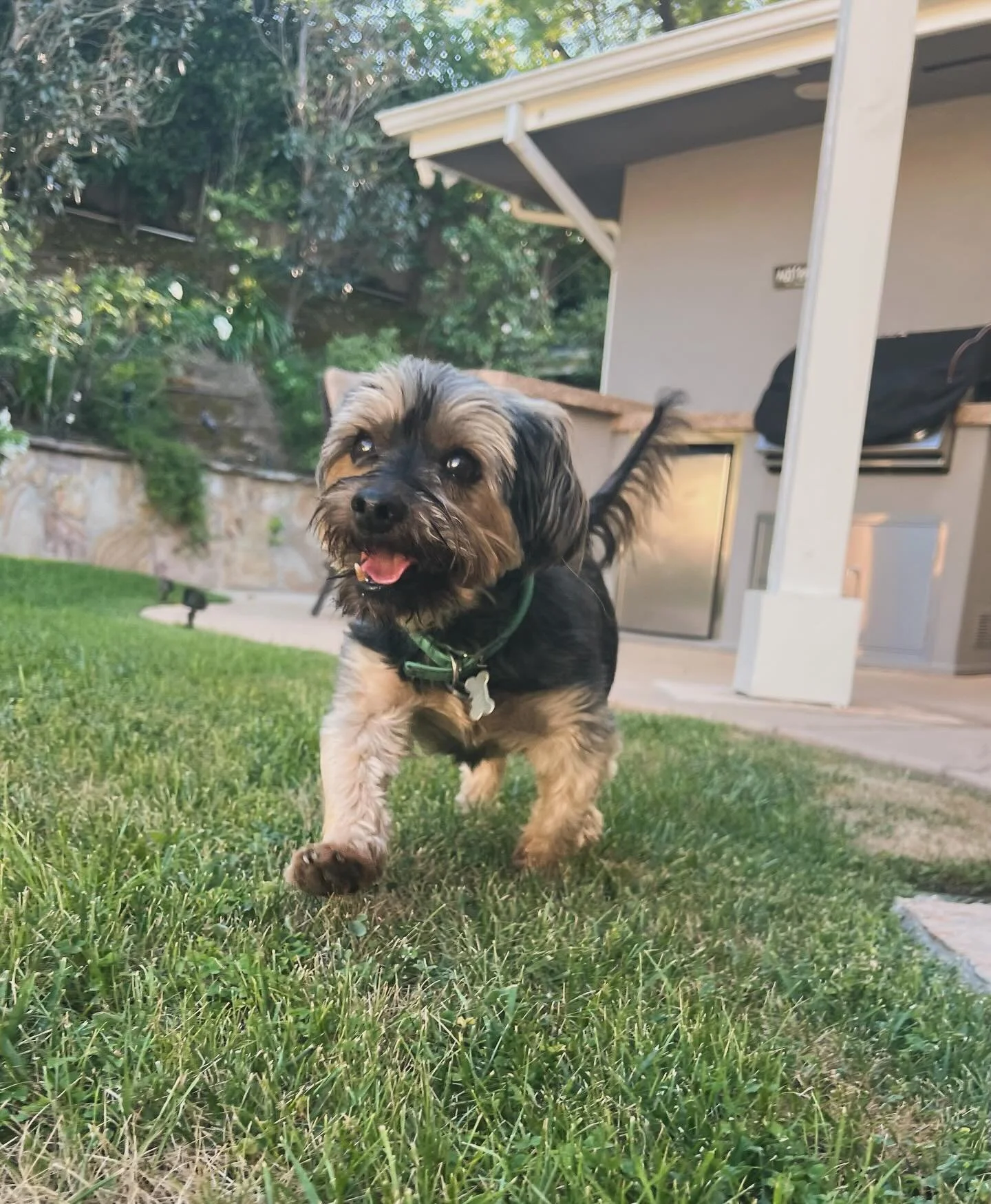 &ldquo;Don&rsquo;t tell my mom how much fun I had with my B&amp;R pet sitter&hellip; don&rsquo;t tell her that I actually met new dogs and went on some incredible adventures. Don&rsquo;t tell her how happy I was cause I want her to think I really mis