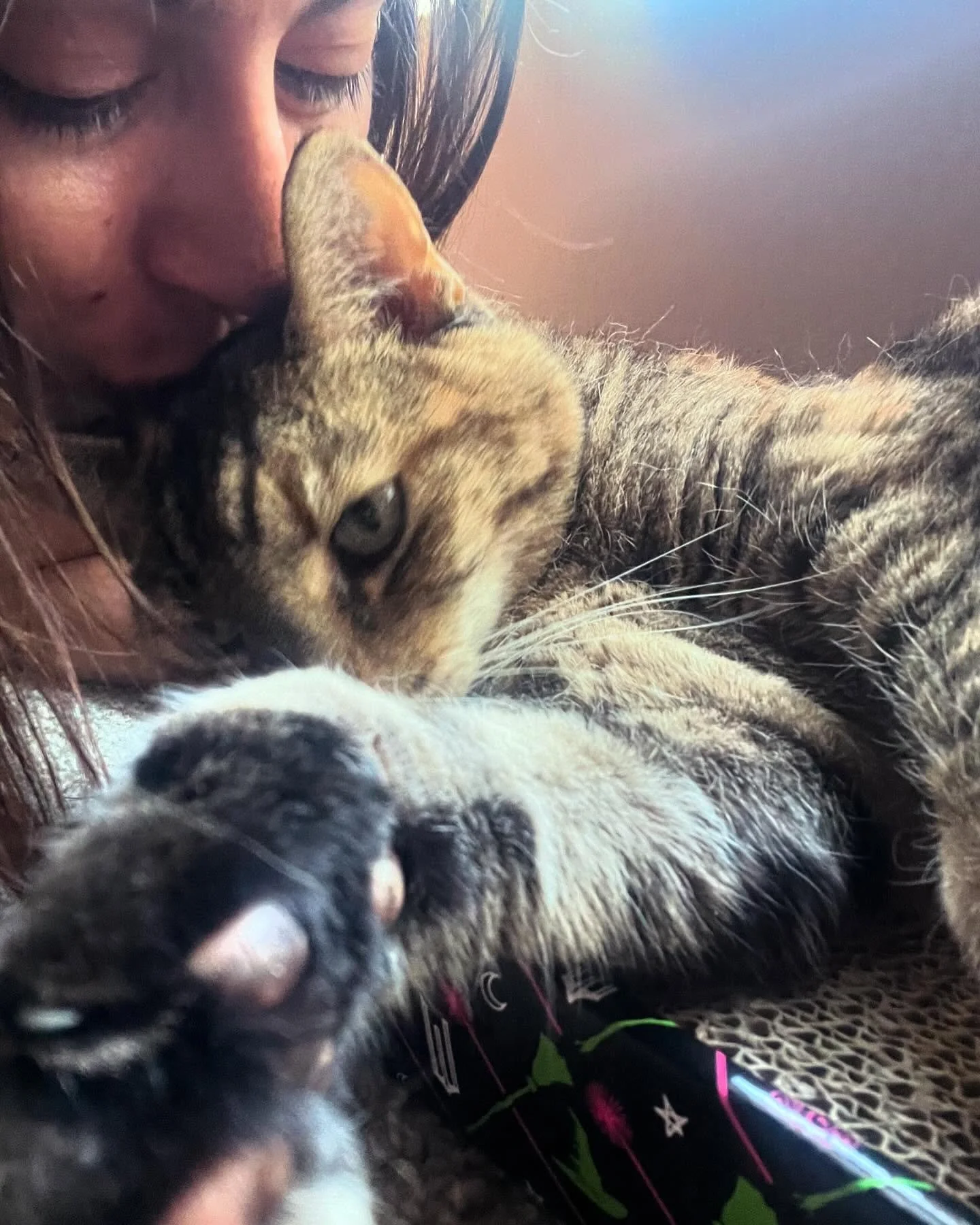 Wishing all the mama&rsquo;s out there a very happy Mother&rsquo;s Day! Your fur babies must be very grateful for the unconditional love you give them every single day, just like our girls Mush and Pudge! Wishing Sof a Happy Mother&rsquo;s Day too. S