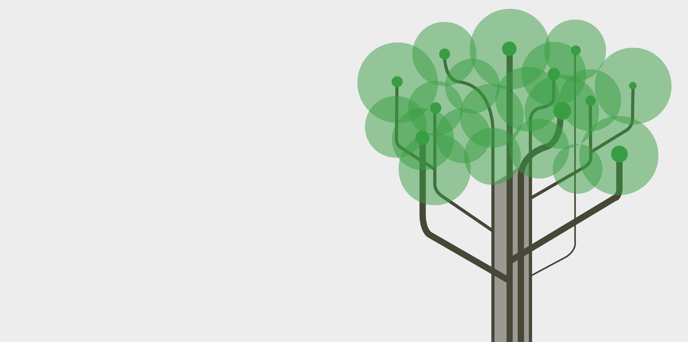 intro-image-tree-illus-circles.png