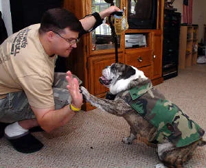 Dave Mageau and Tank, sharing a "high five”