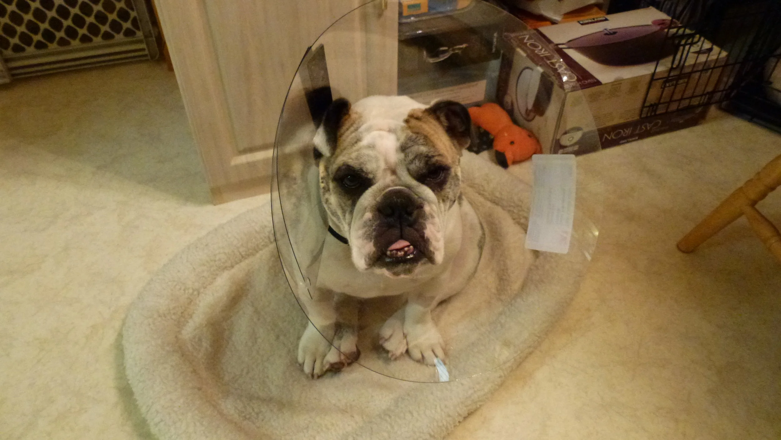 "I'm waiting for my foot to heal."
