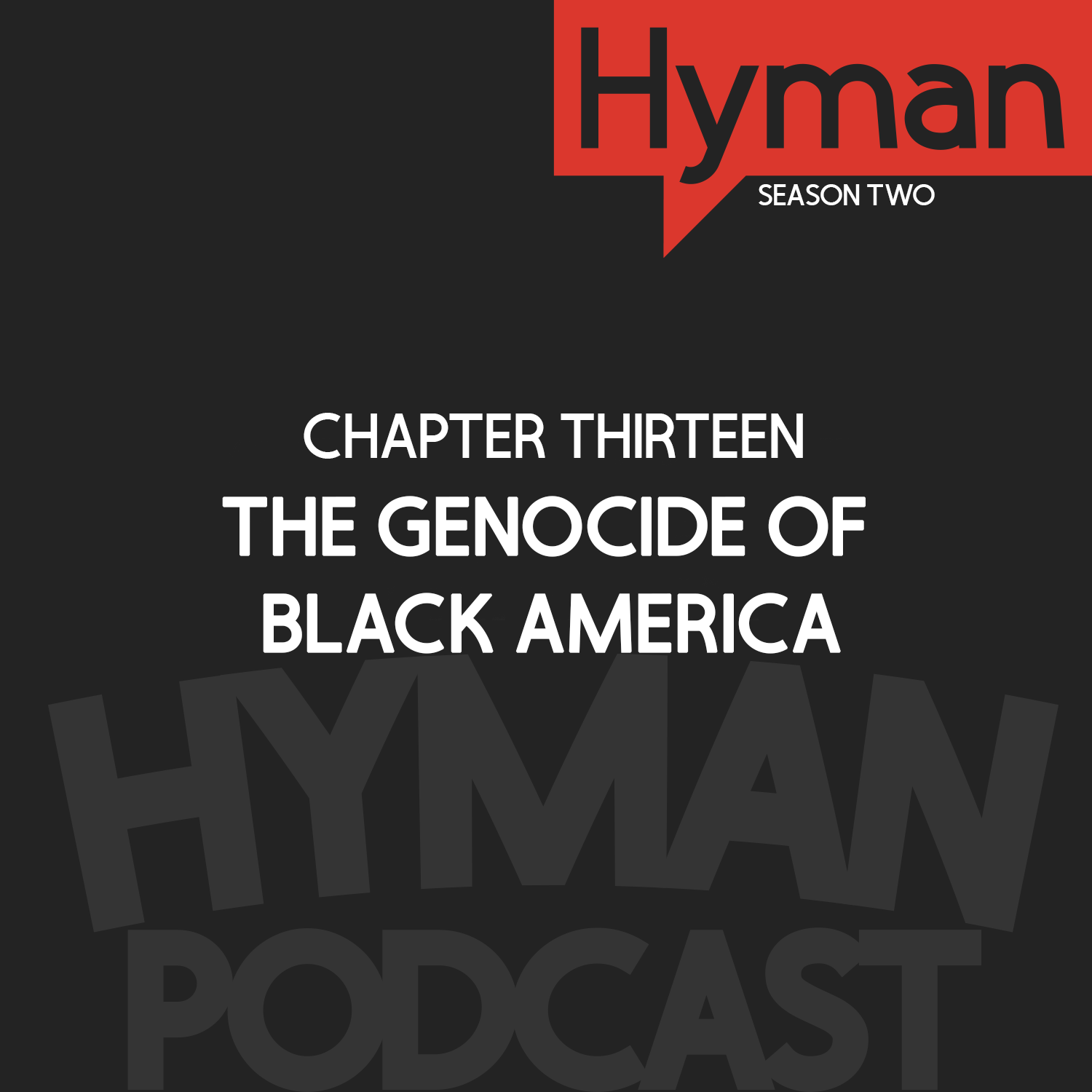13 | The Genocide of Black America