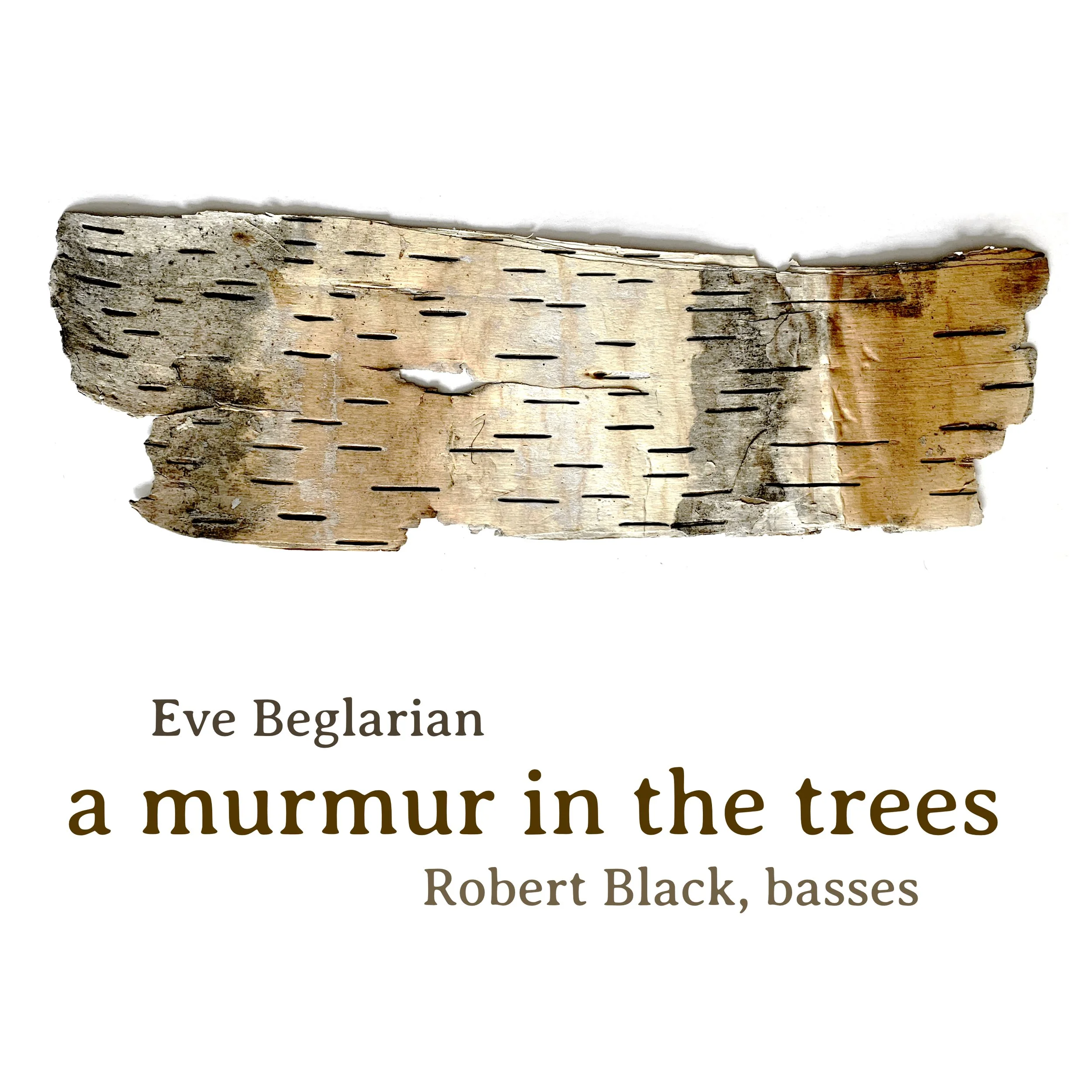 murmur_cover_25.jpg