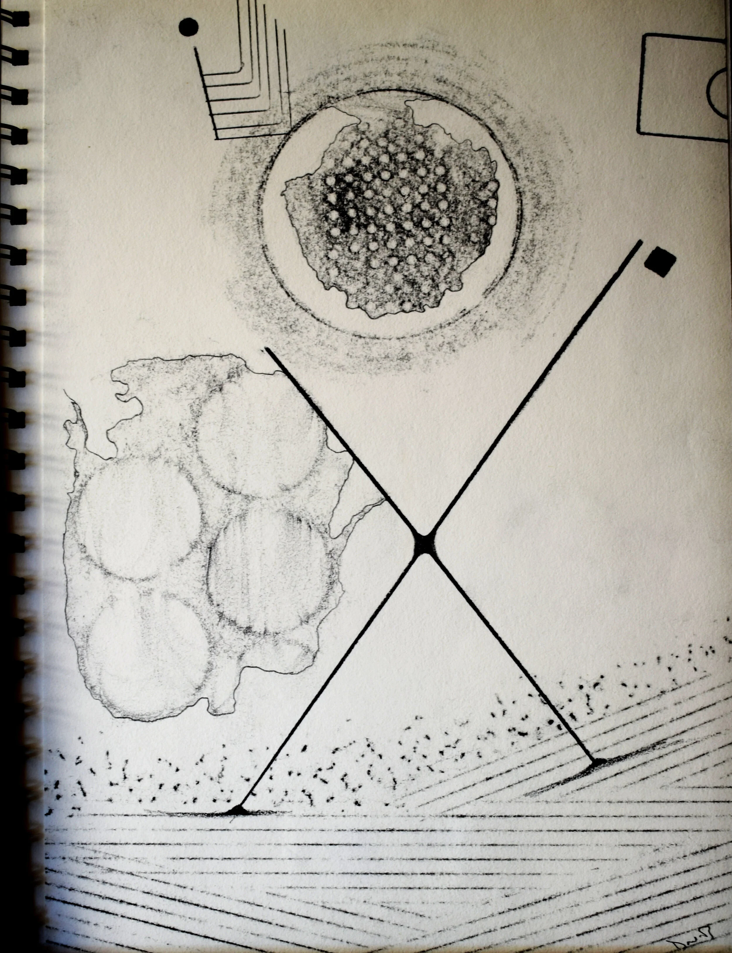 Book Of Suns And Light- untitled