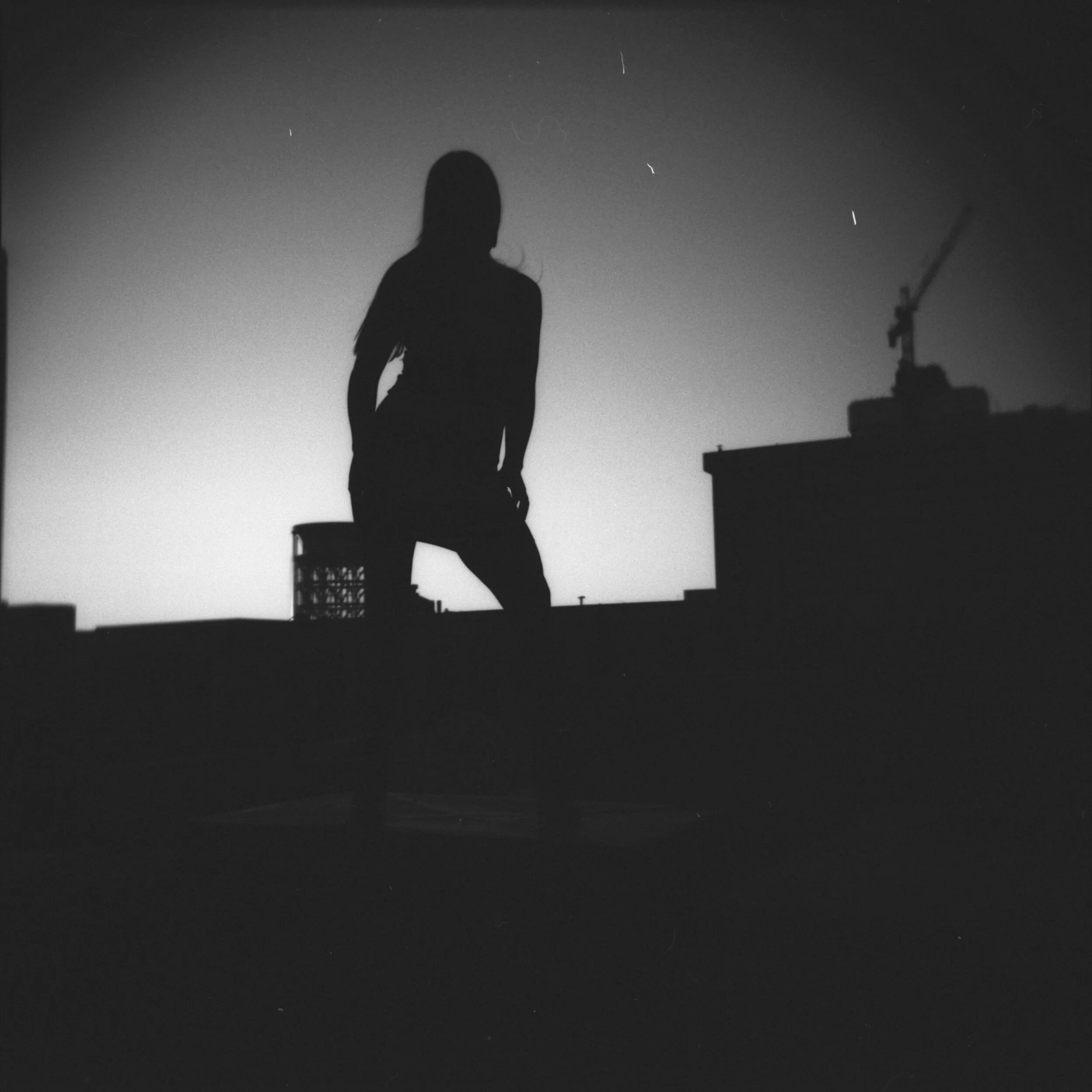 WEBSITE+EXPORT+1-003.jpg