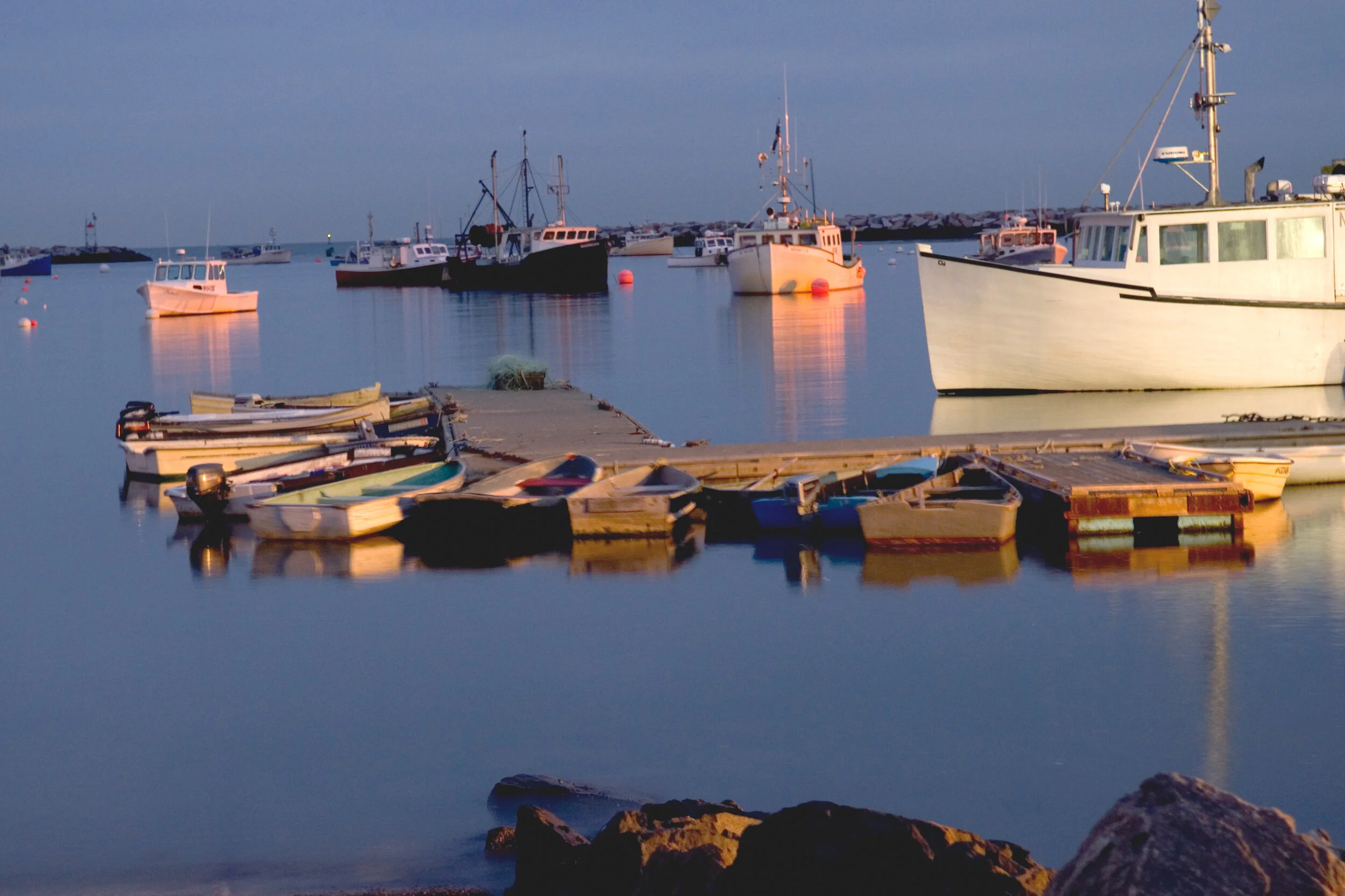 WEBSITE EXPORT 1--8.jpg