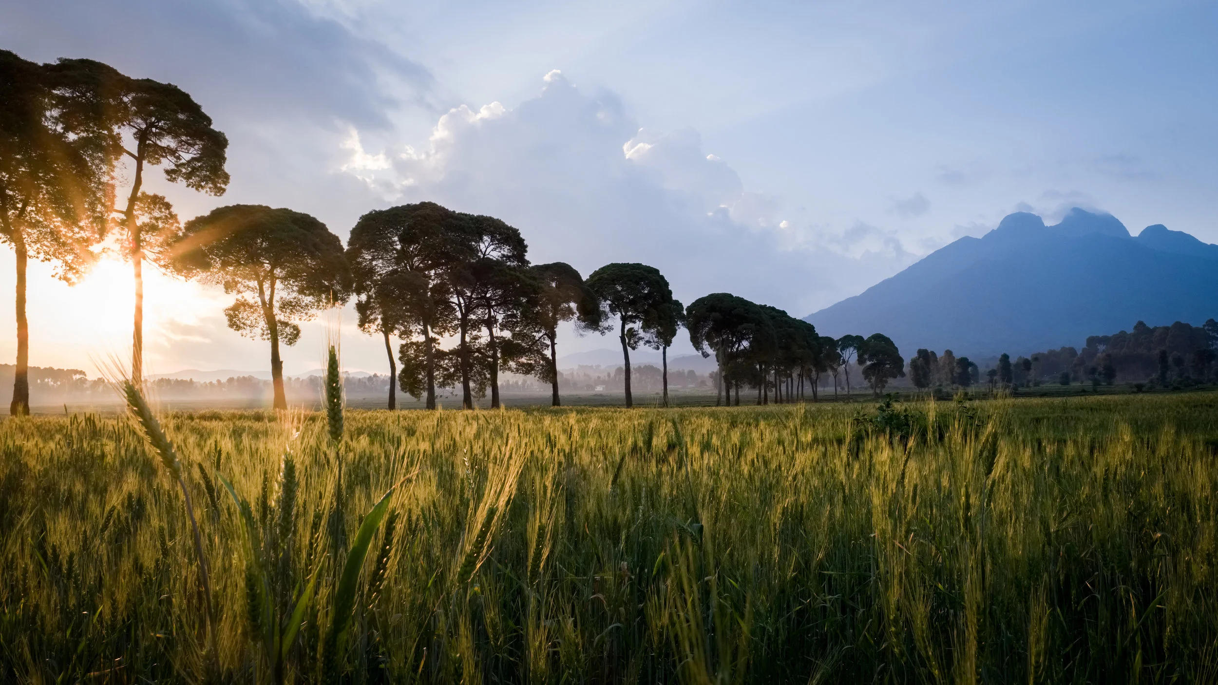 RW Landscape 7.jpg