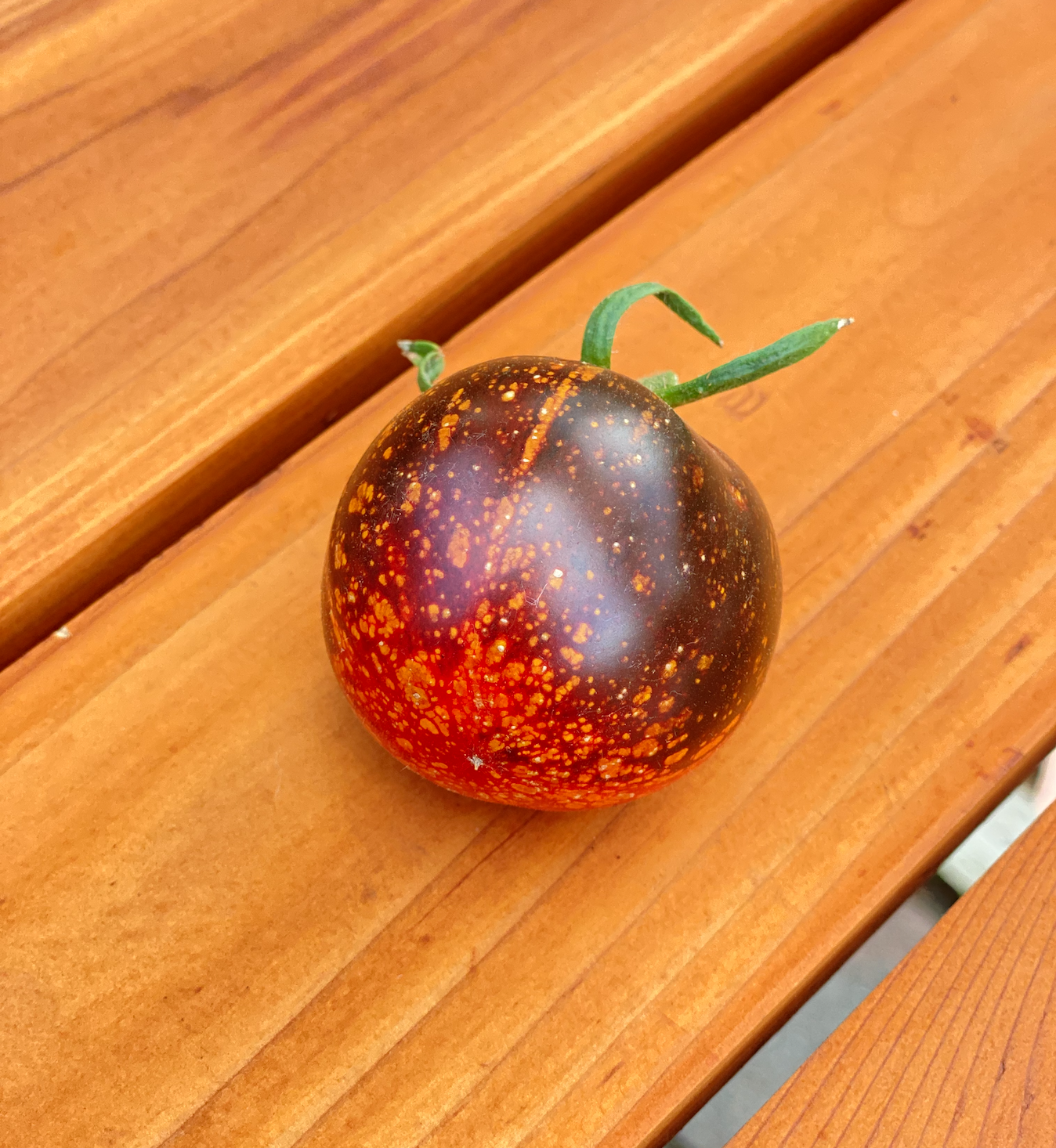 Screen Shot 2026-01-14 at 2.55.35 PM.png