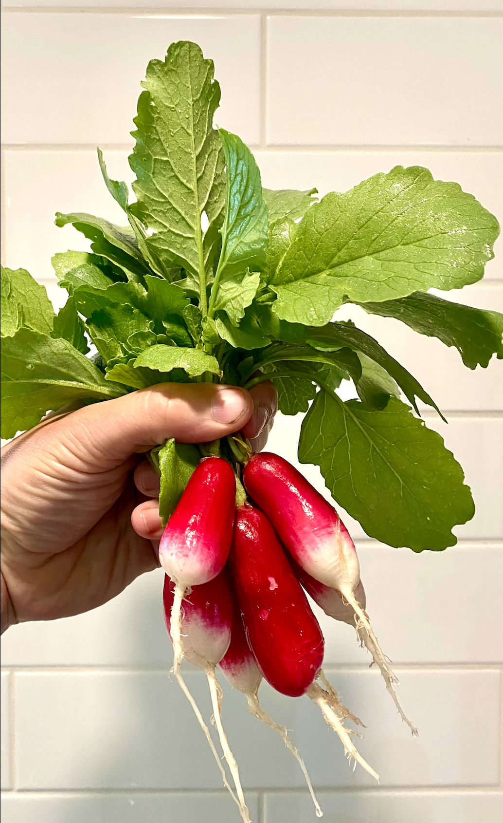 Screen Shot 2026-01-15 at 2.38.22 PM.png