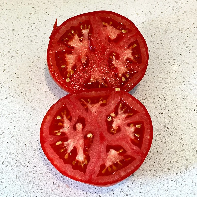 Tomato_Ace552.jpg