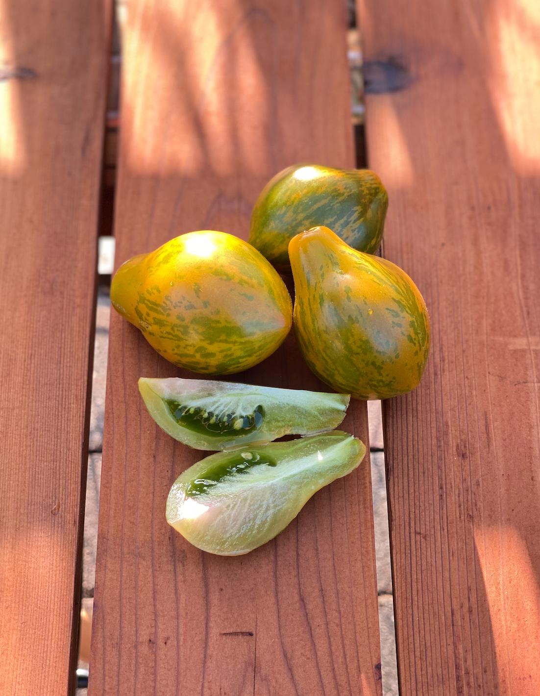 Screen Shot 2026-01-15 at 1.11.51 PM.png