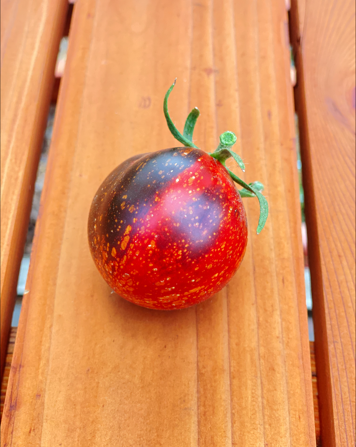 Screen Shot 2026-01-14 at 2.55.53 PM.png