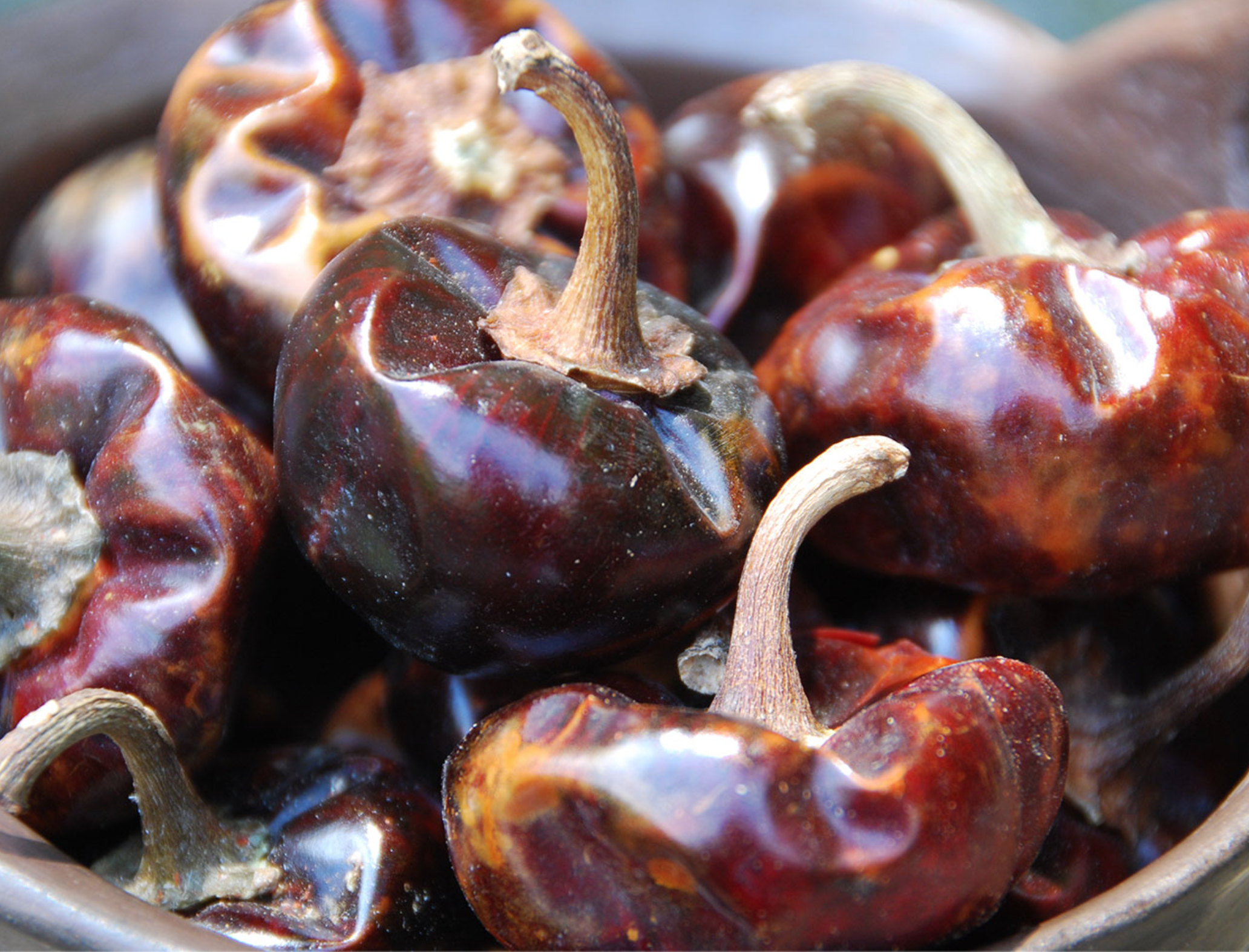 Screen Shot 2026-01-17 at 4.09.32 PM.png