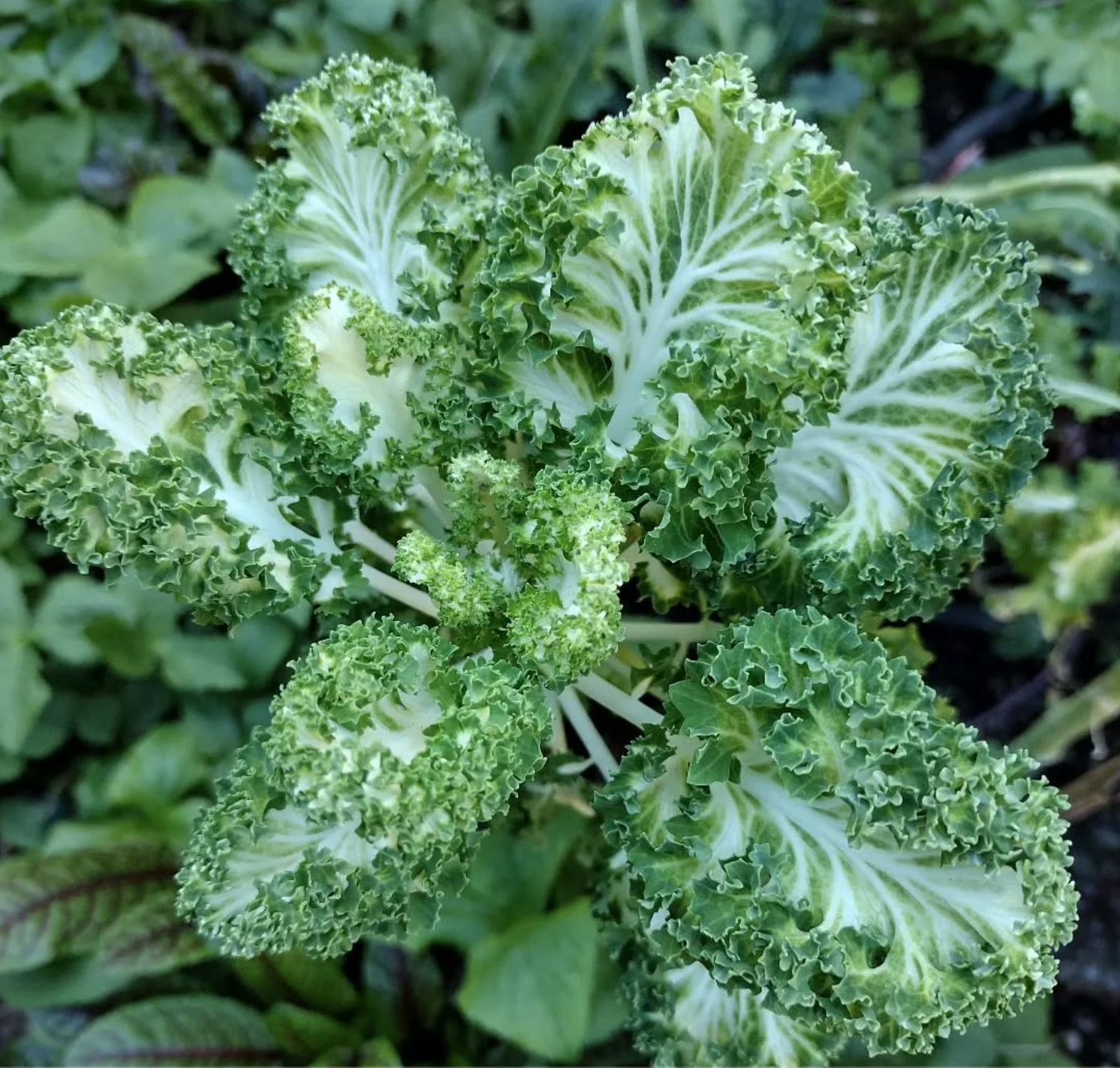 Screen Shot 2026-01-18 at 1.28.09 PM.png