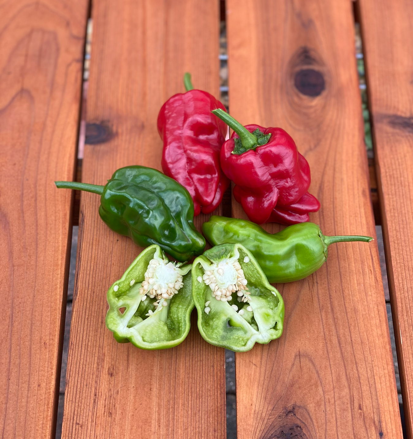 Screen Shot 2026-01-15 at 1.11.08 PM.png