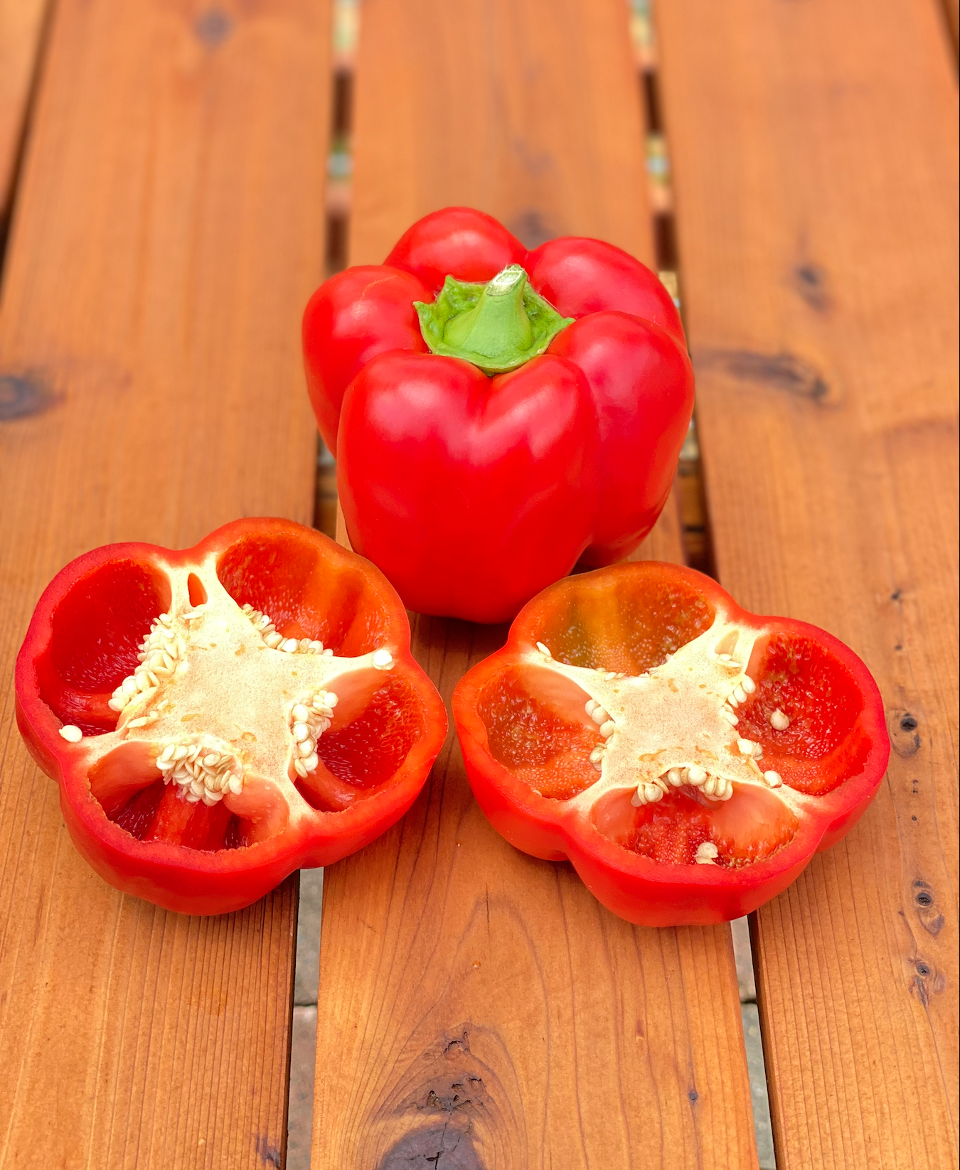 Screen Shot 2026-01-14 at 2.58.10 PM.png