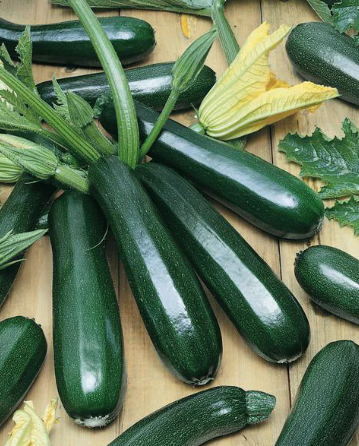 Squash (Summer) - Black Beauty (Pre-Order)