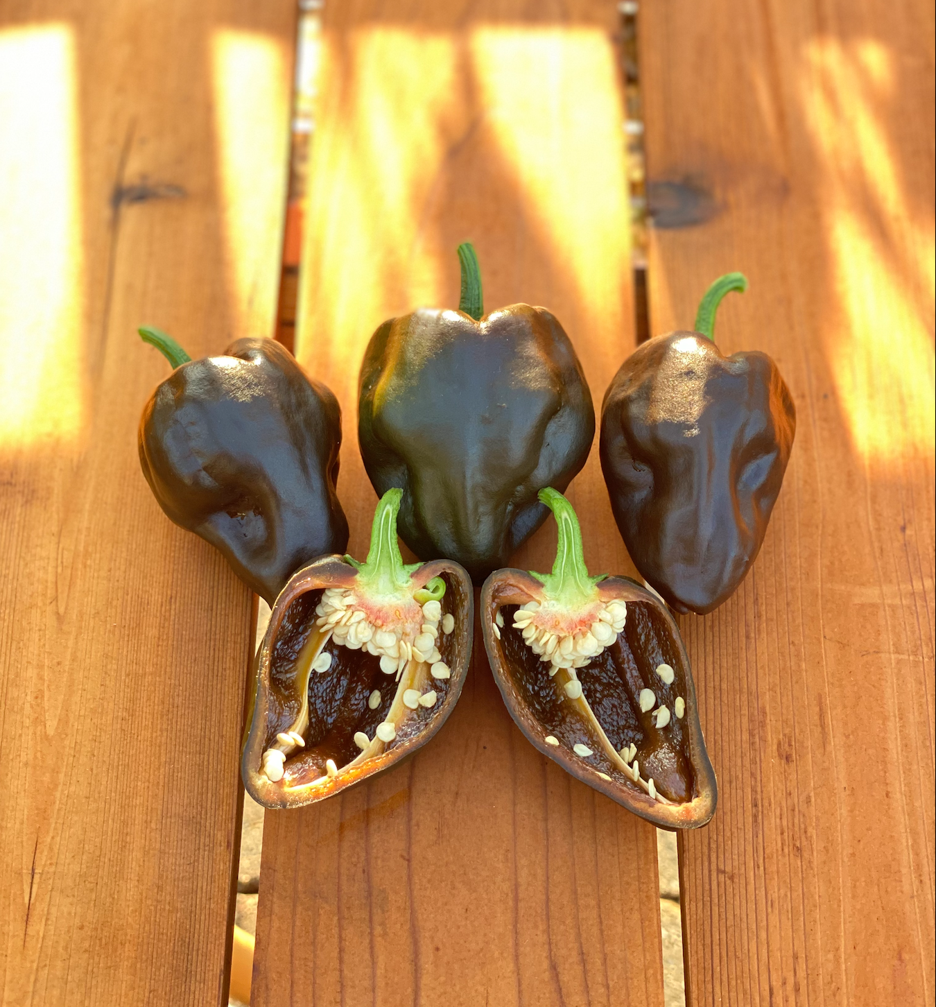 Screen Shot 2026-01-14 at 2.50.14 PM.png