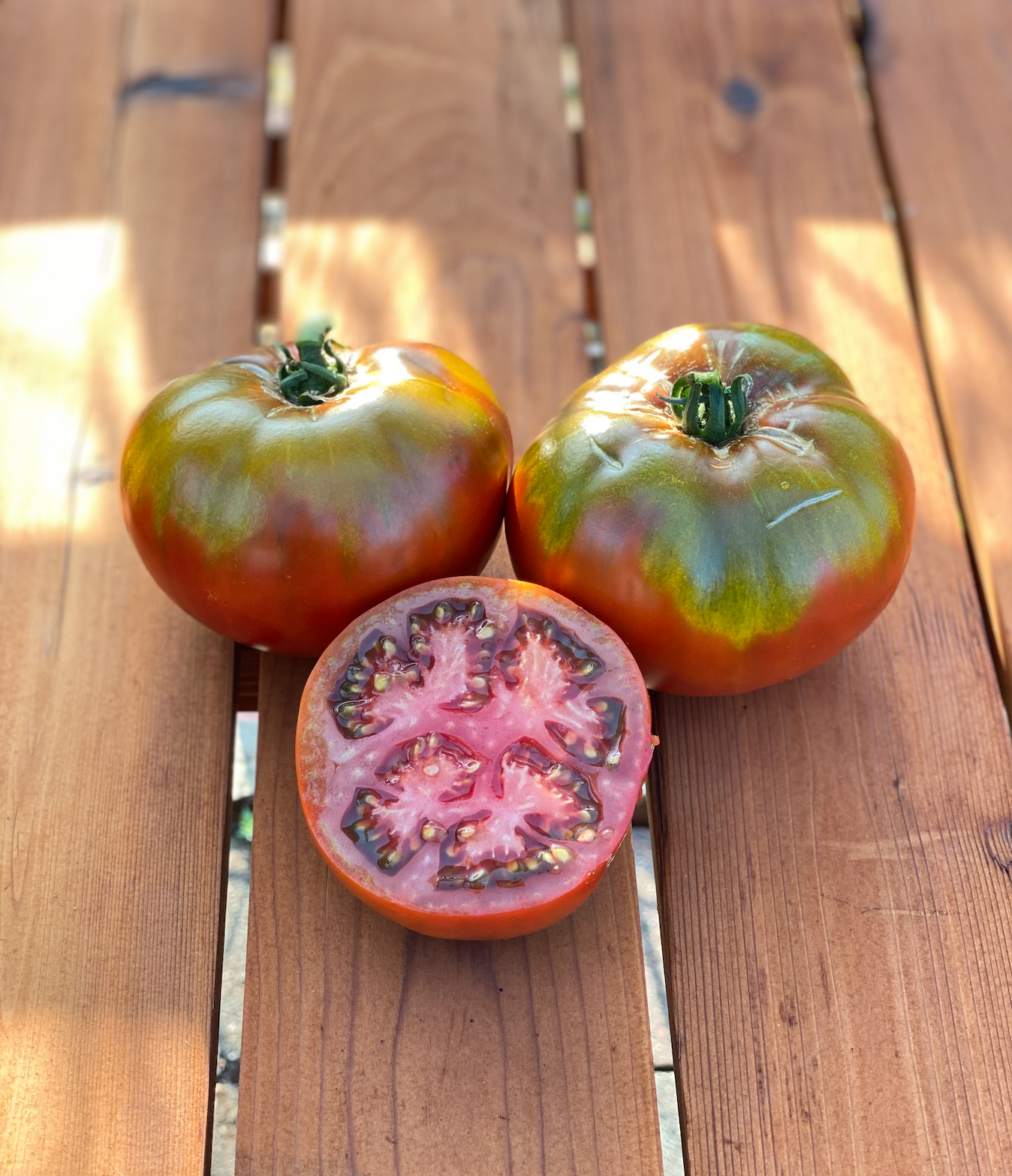 Screen Shot 2026-01-14 at 2.47.24 PM.png