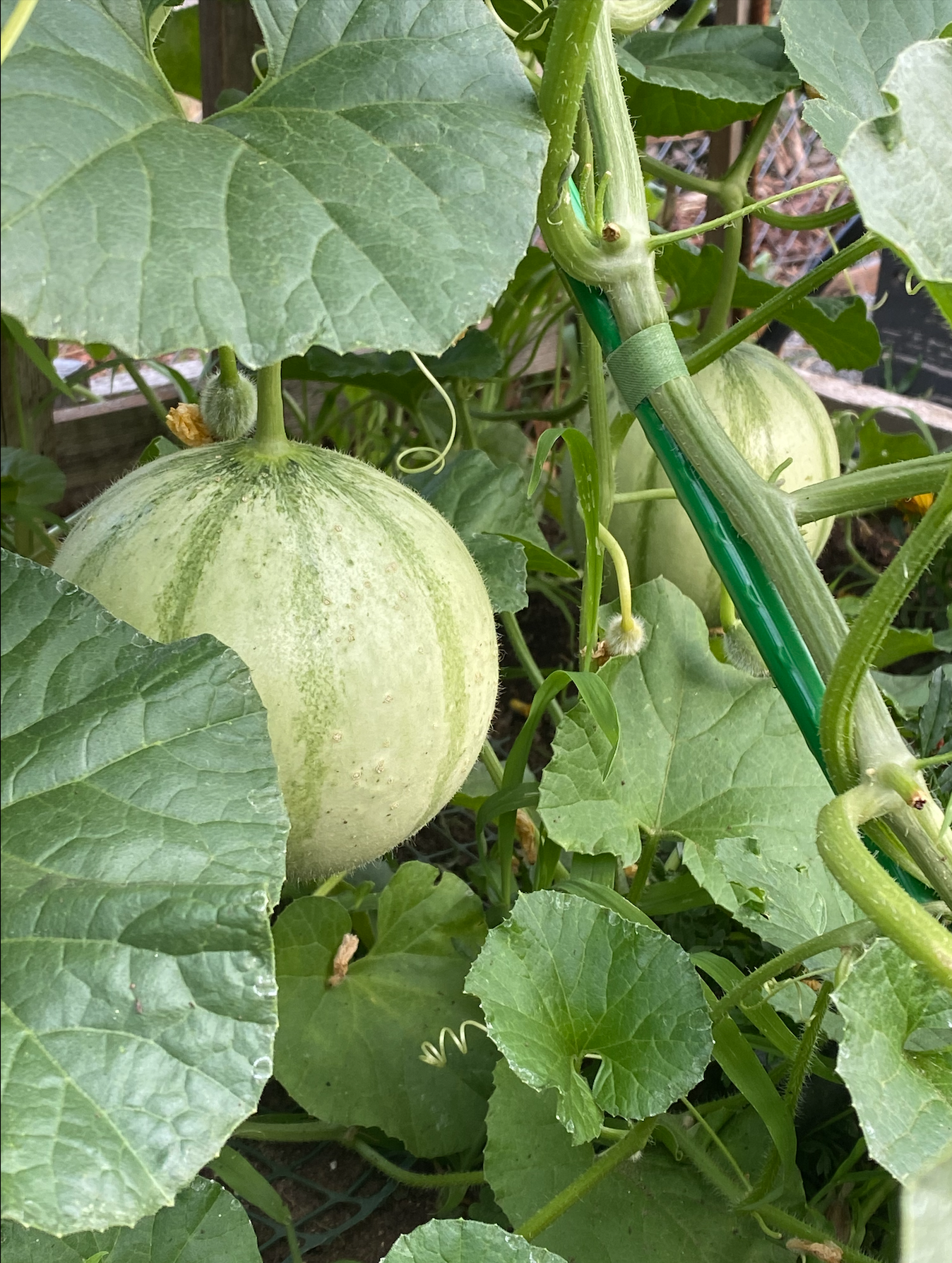 Screen Shot 2026-01-15 at 1.13.30 PM.png