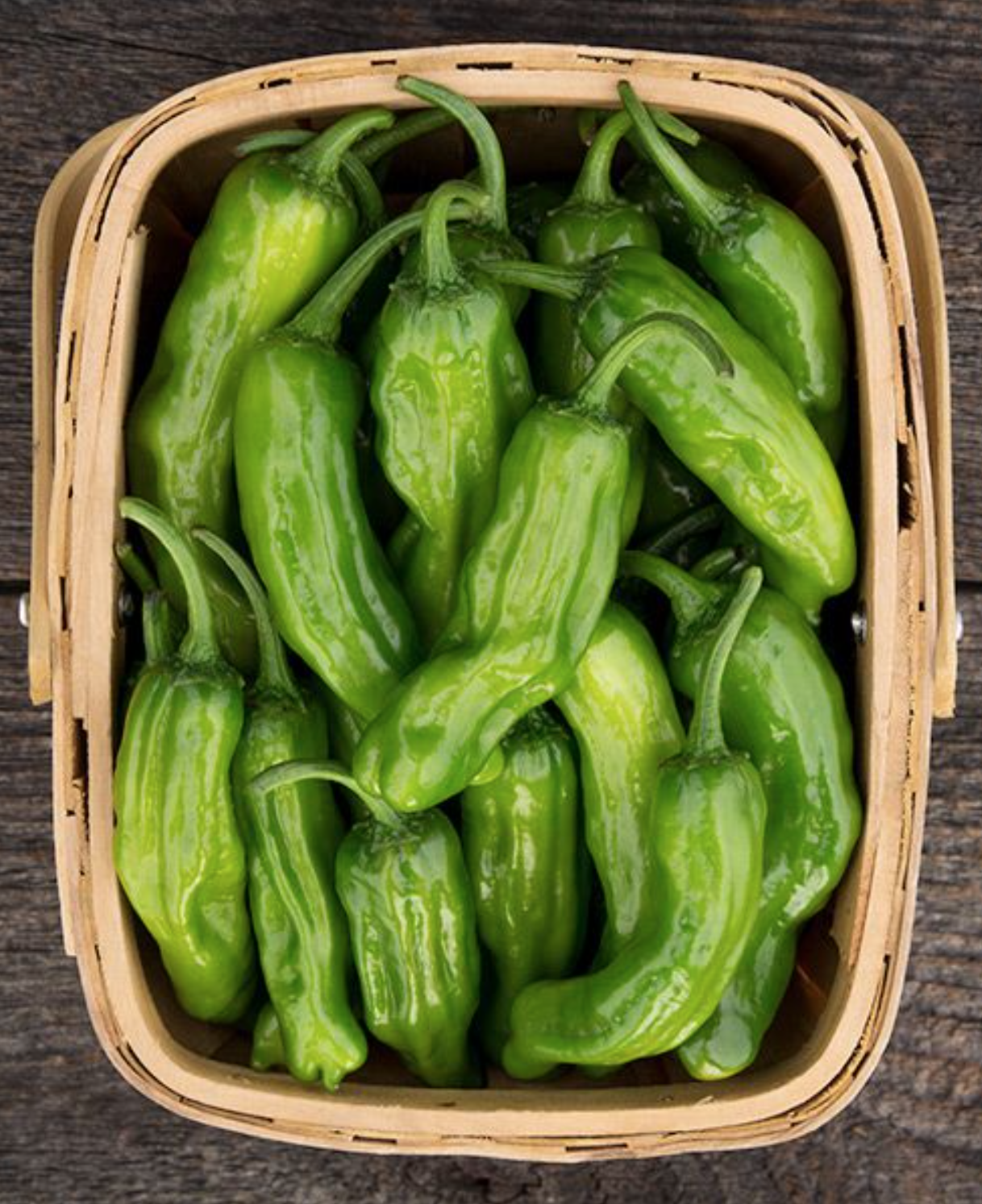 Screen Shot 2026-01-17 at 3.39.28 PM.png