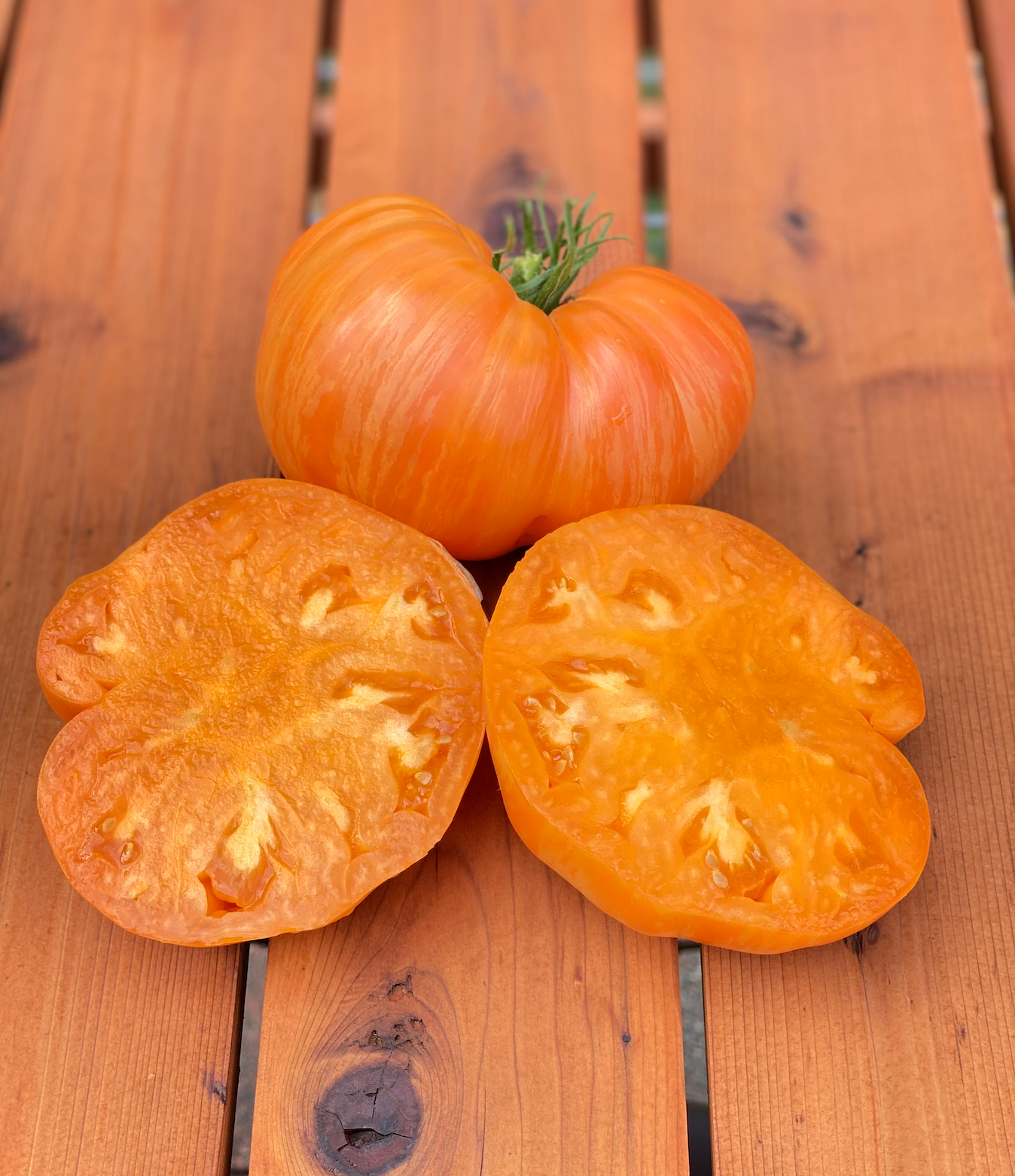 Screen Shot 2026-01-14 at 2.52.01 PM.png