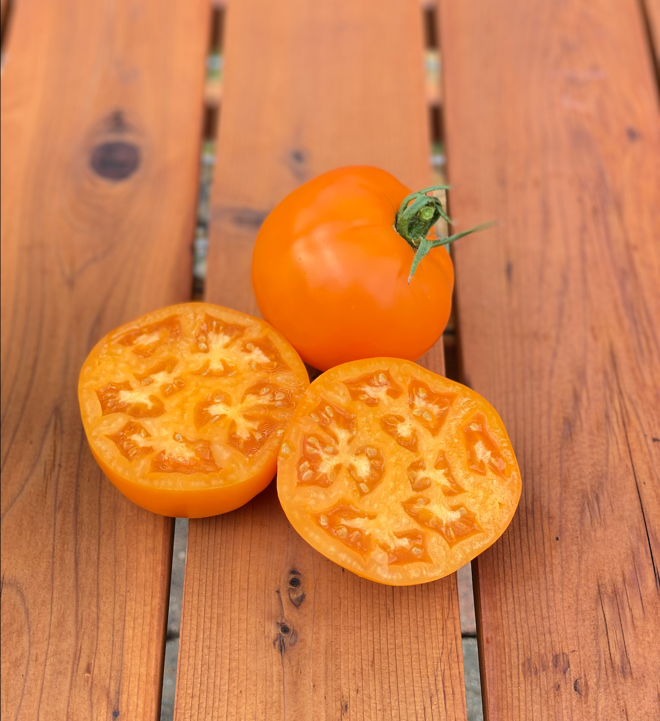 Screen Shot 2026-01-15 at 1.10.38 PM.png