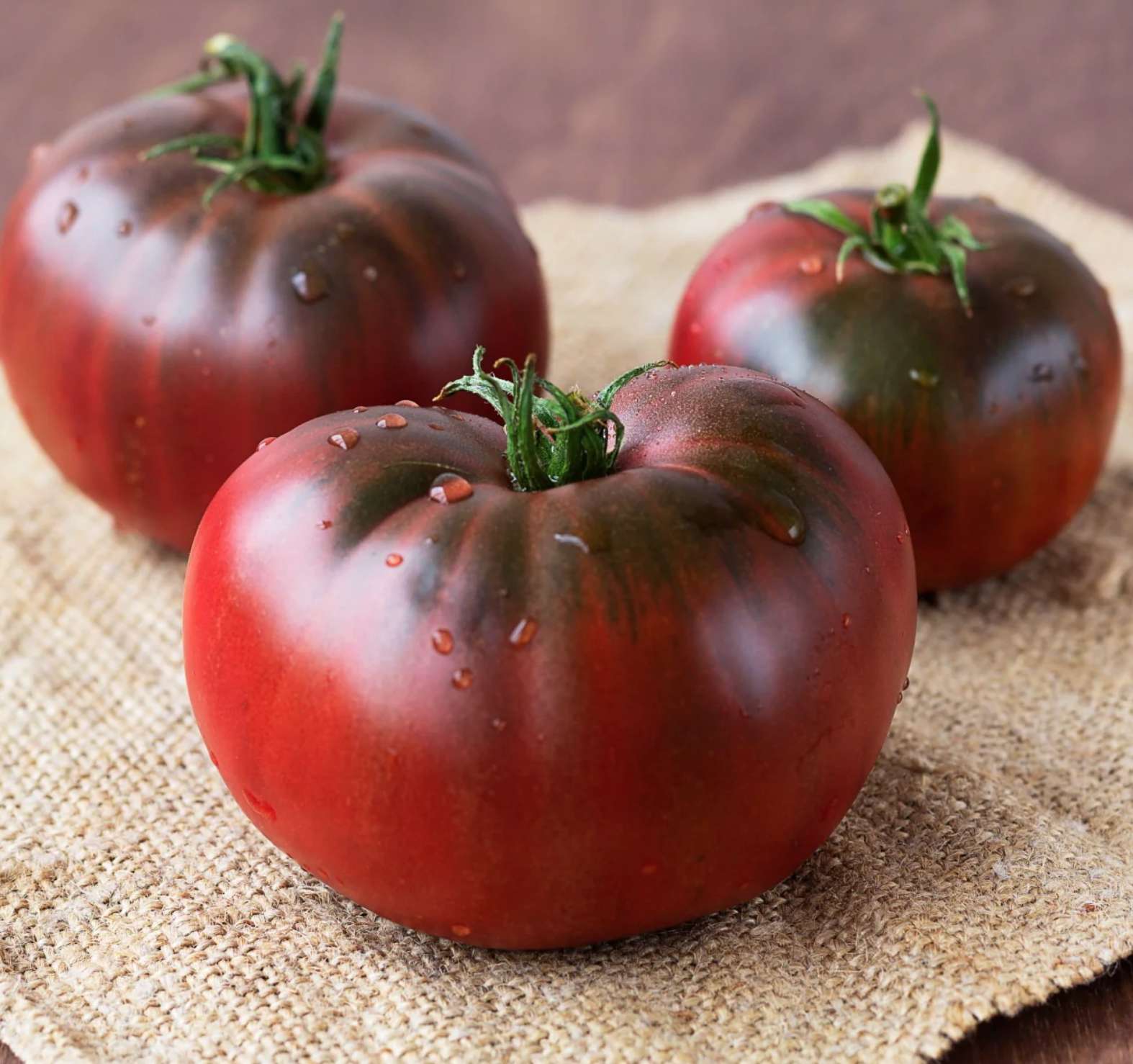 Screen Shot 2026-01-17 at 1.02.19 PM.png