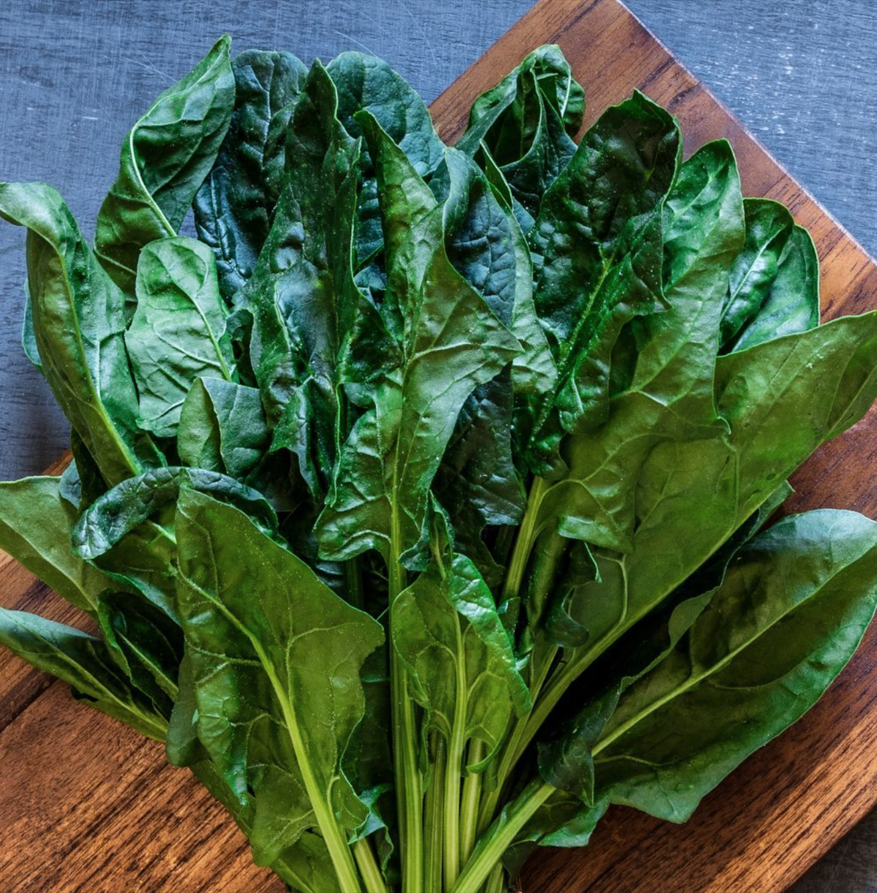 Screen Shot 2026-01-15 at 2.56.08 PM.png