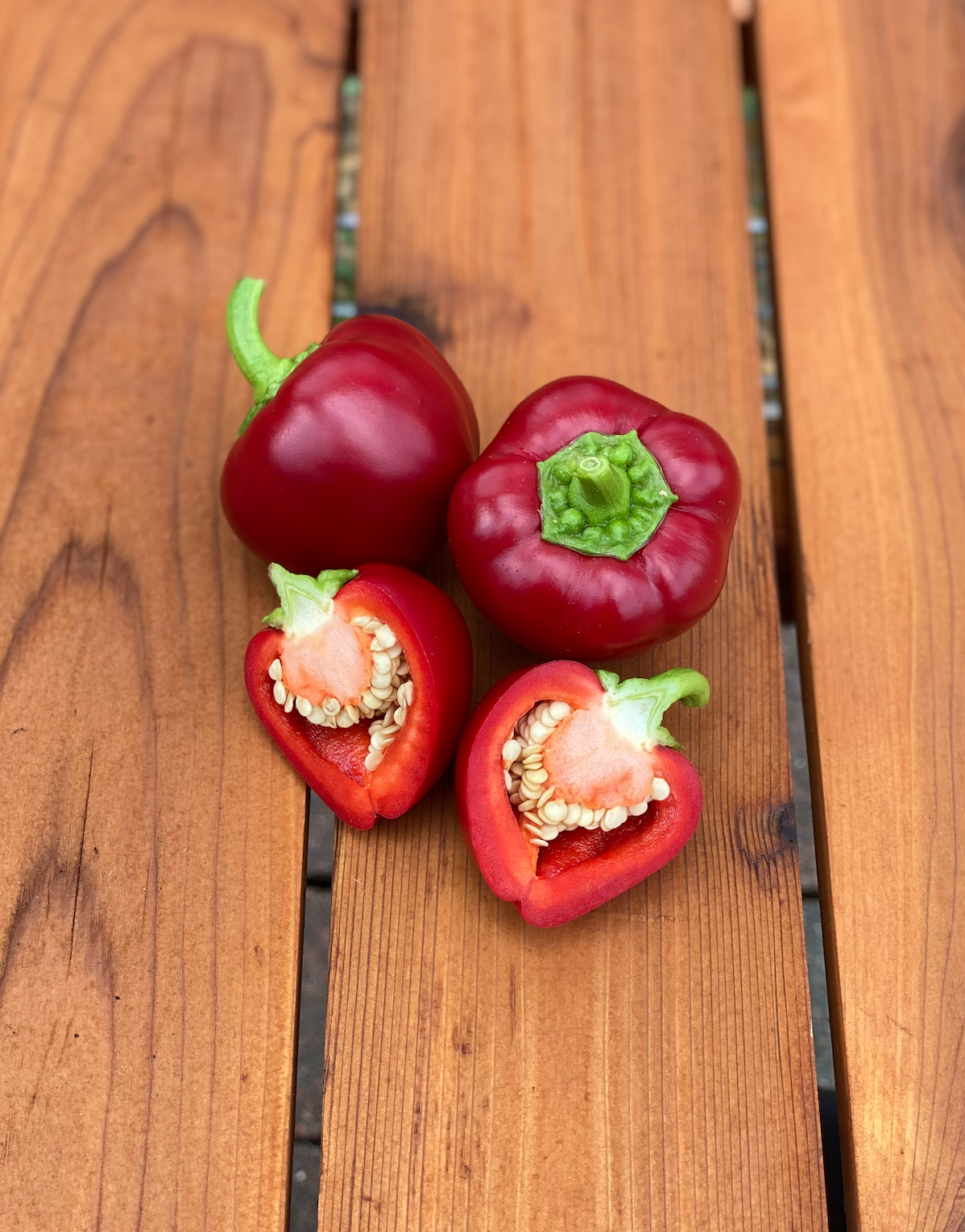 Screen Shot 2026-01-15 at 1.11.29 PM.png