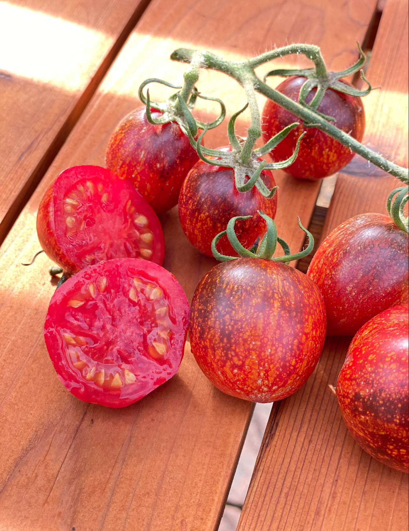 Screen Shot 2026-01-14 at 2.56.16 PM.png